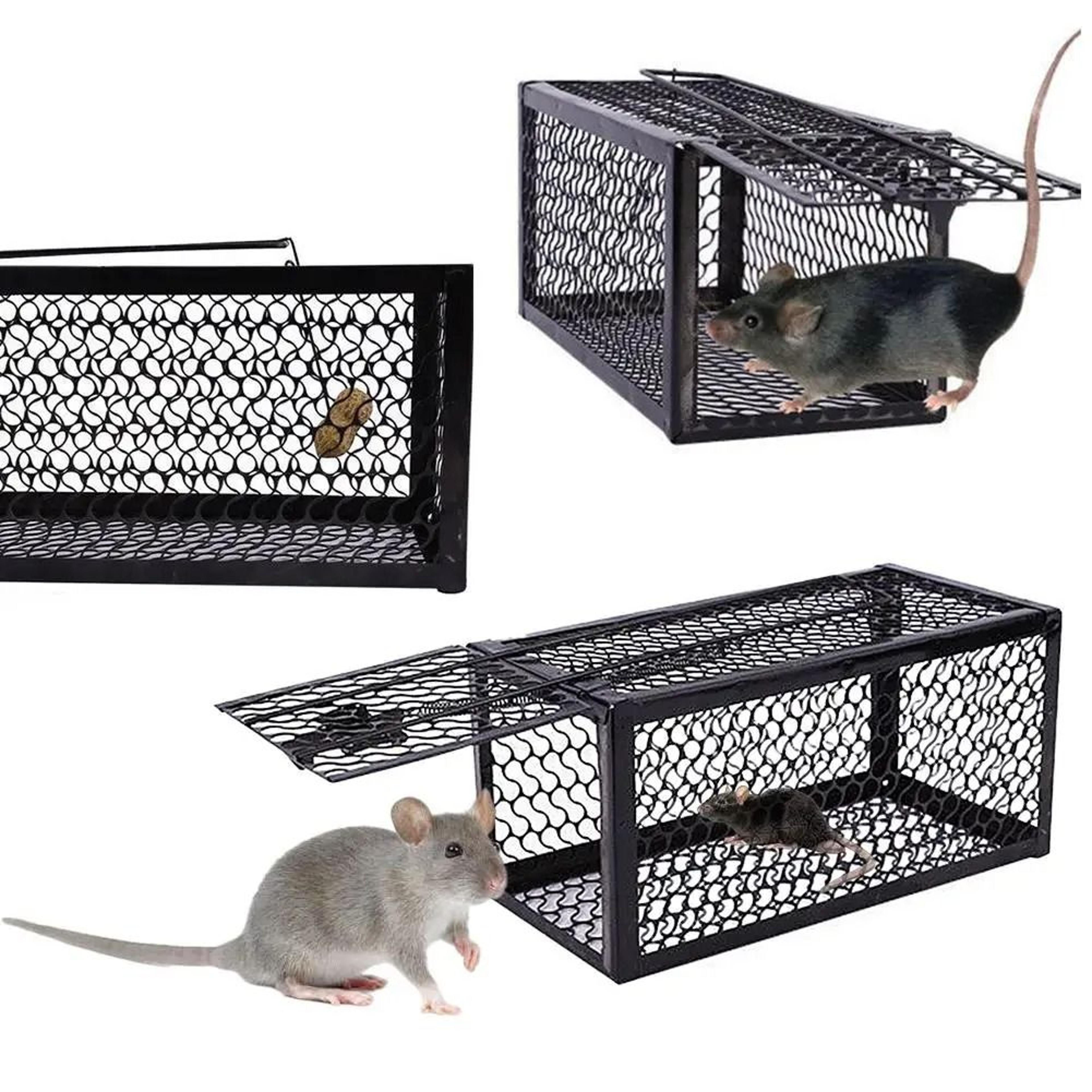 reusable metal mouse trap cage humane iron mesh rat catcher indoor outdoor