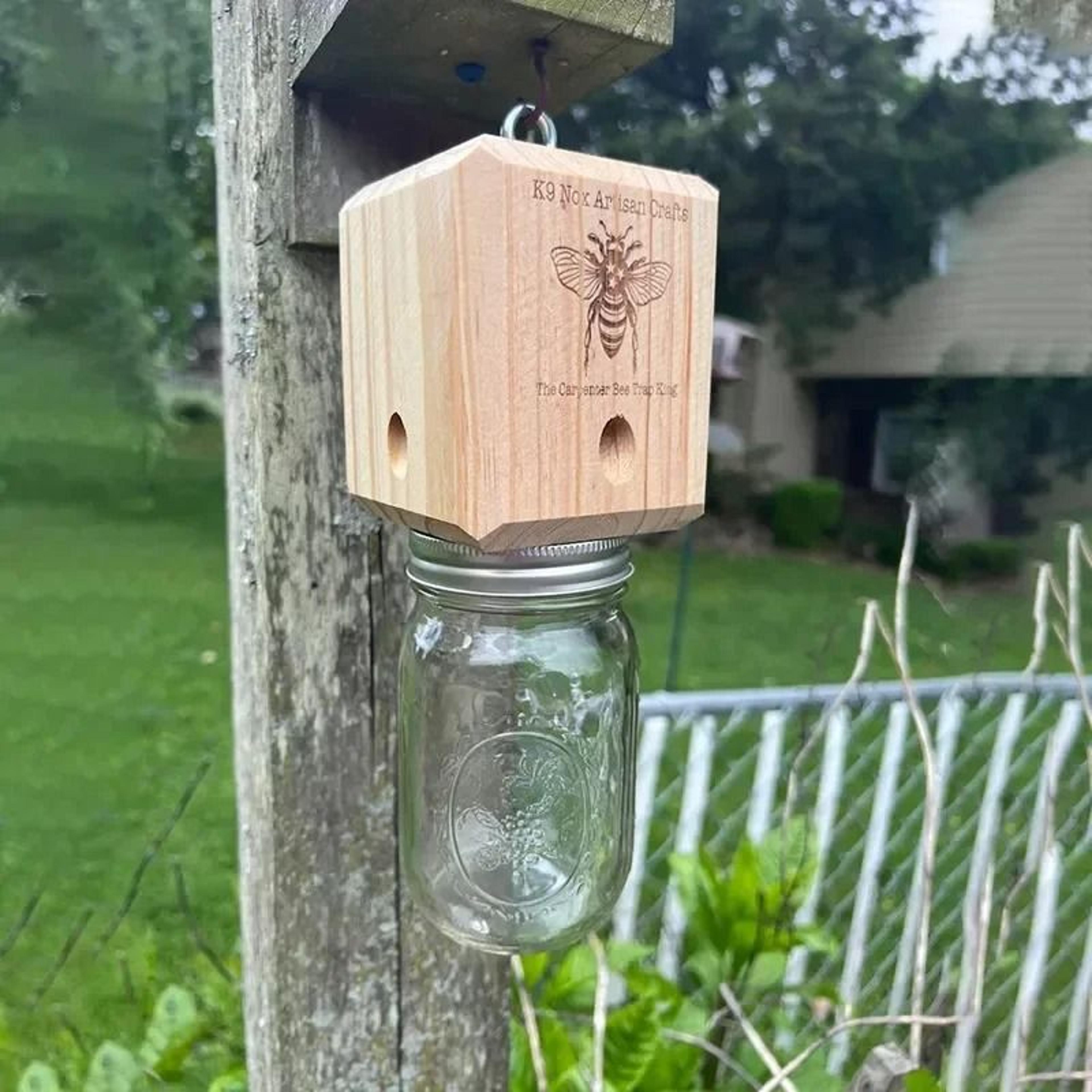 pentroof wooden carpenter bee trap outdoor hanging natural wood vault catcher