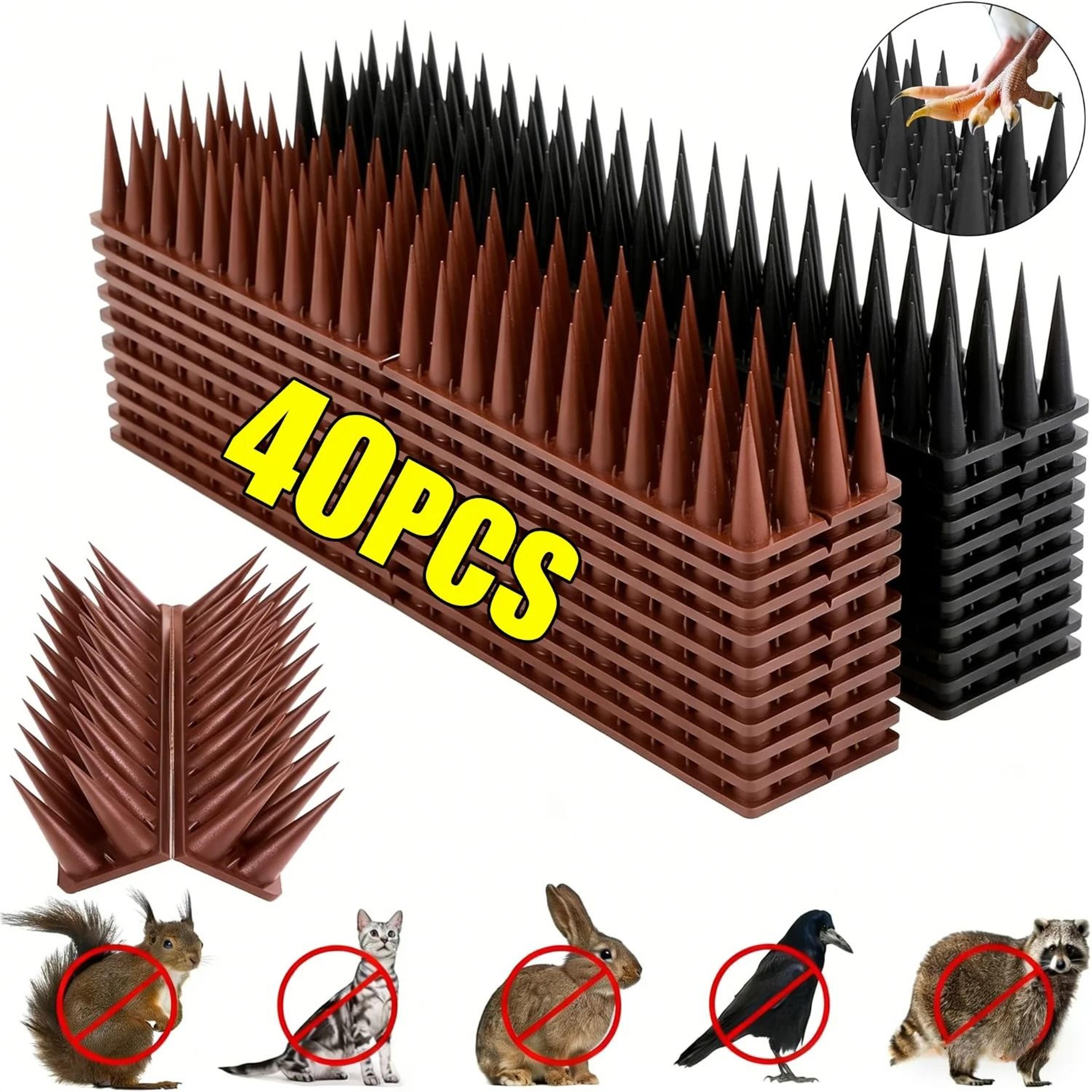 anti-bird pigeon spikes plastic fence wall cat proof intruder deterrent