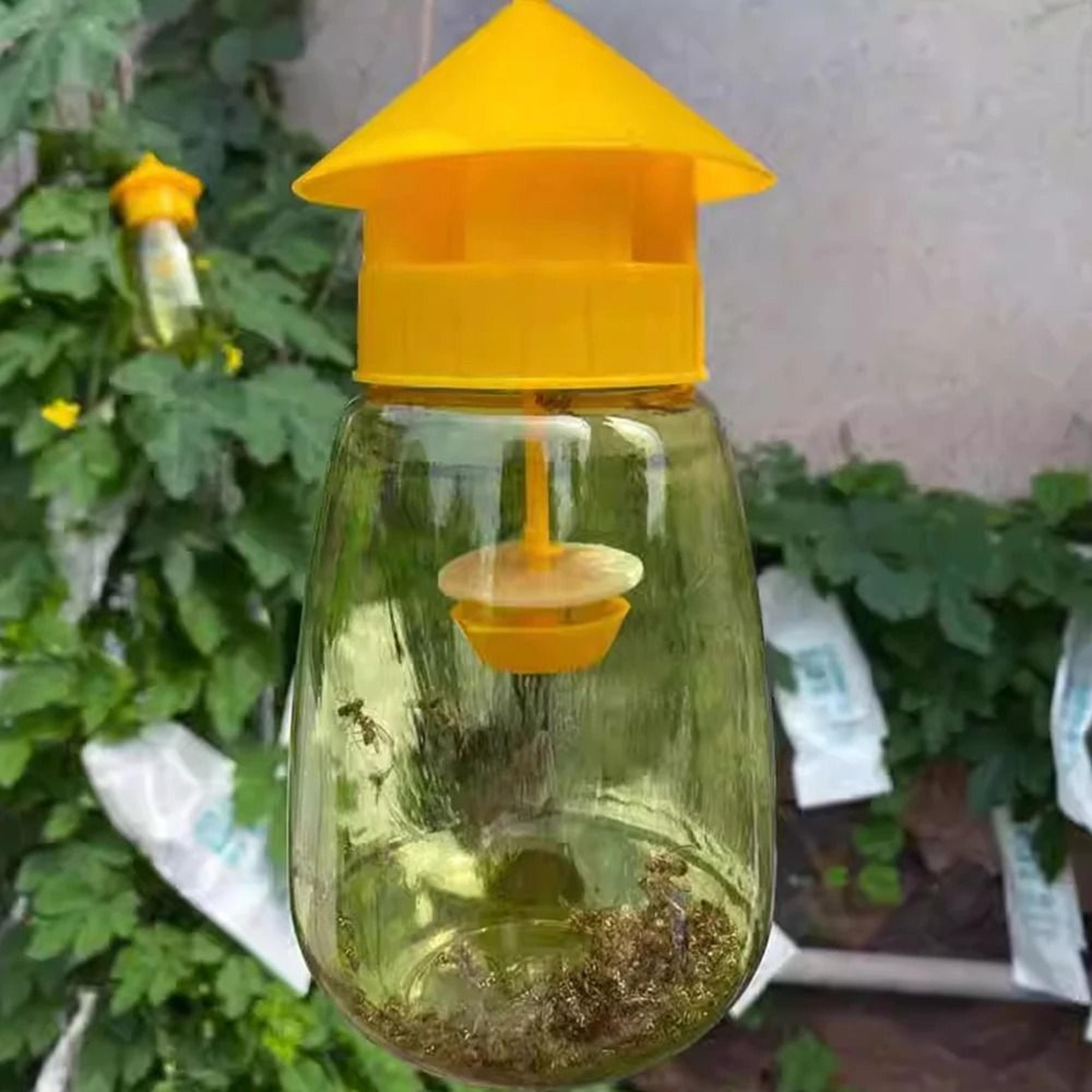 yellow plastic fruit fly trap drosophila catcher outdoor orchard pest control