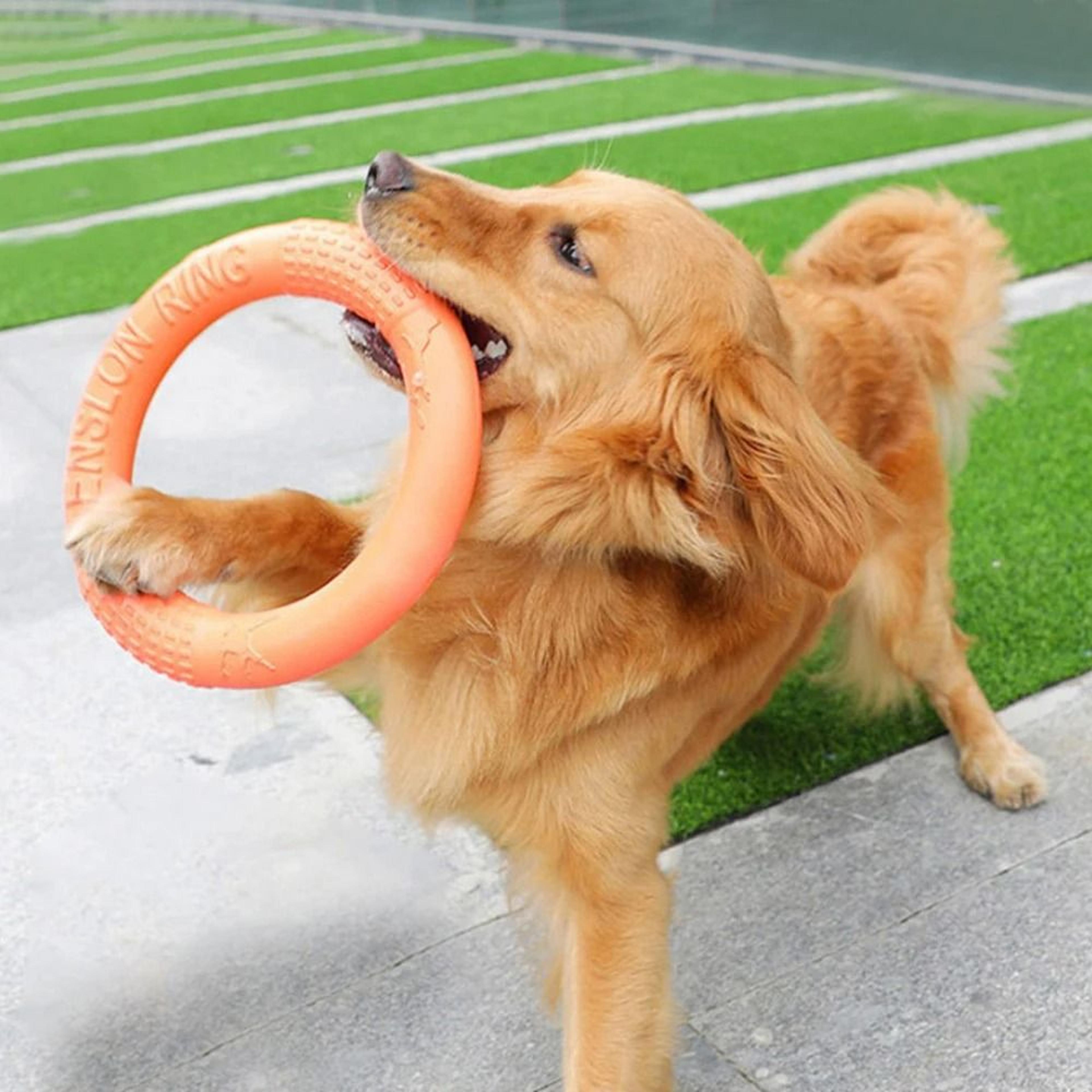 floatable eva dog flying disc ring interactive training chew toy orange