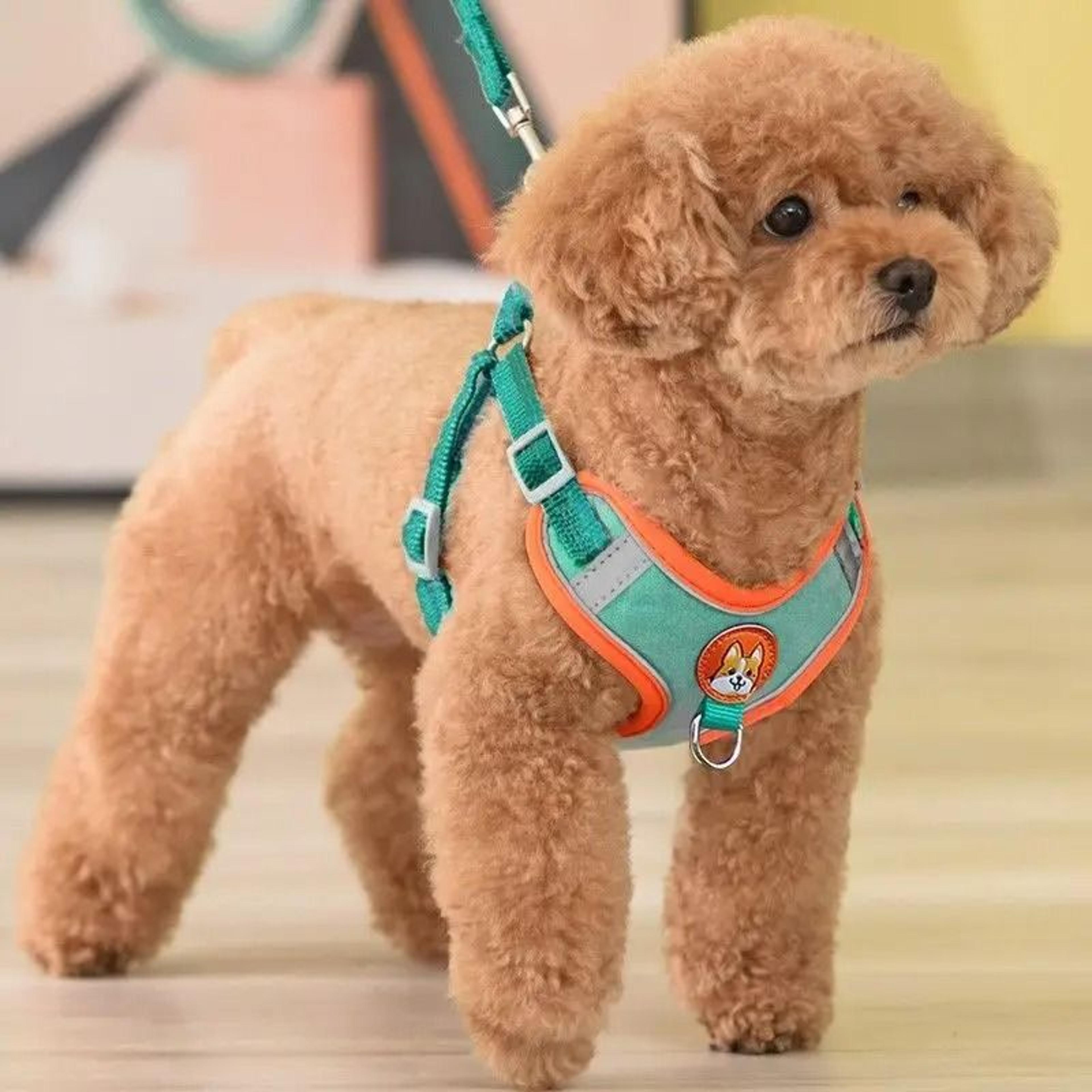 adjustable no pull dog harness reflective vest pet leash chest strap