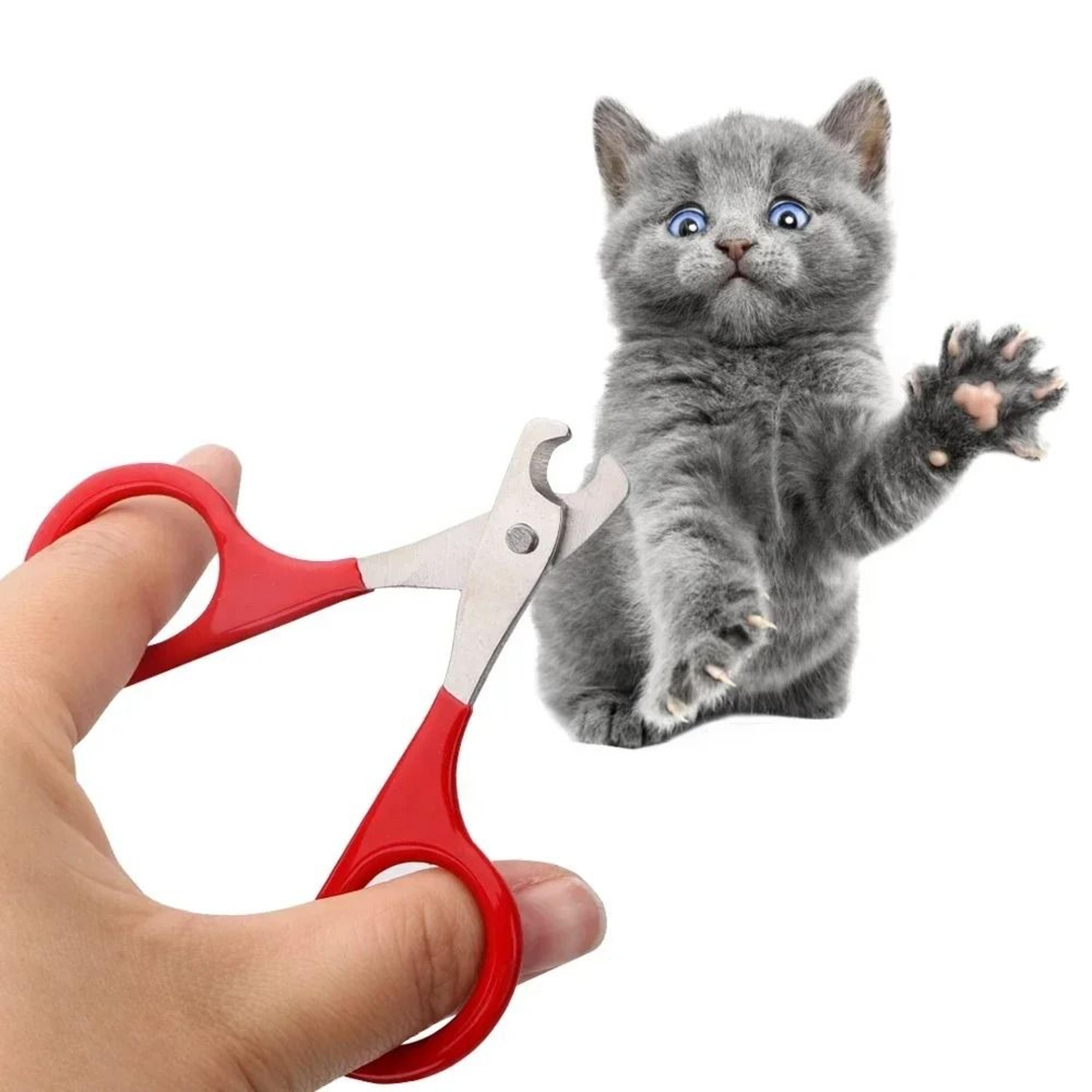 professional pet nail clippers & scissors trimmer for small dogs, cats & puppies