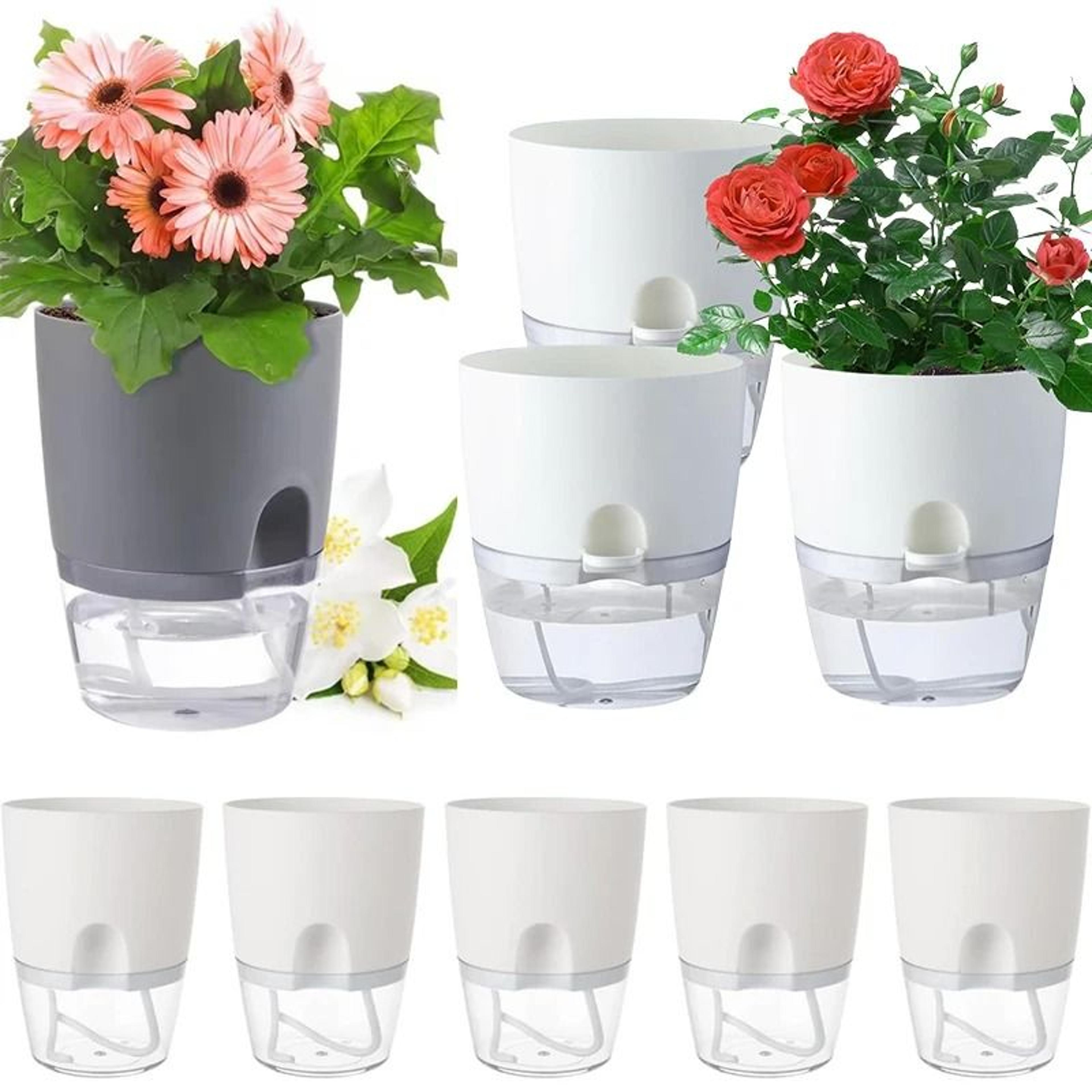 5-piece self-watering planters set with wicking flower pots & watering bottle