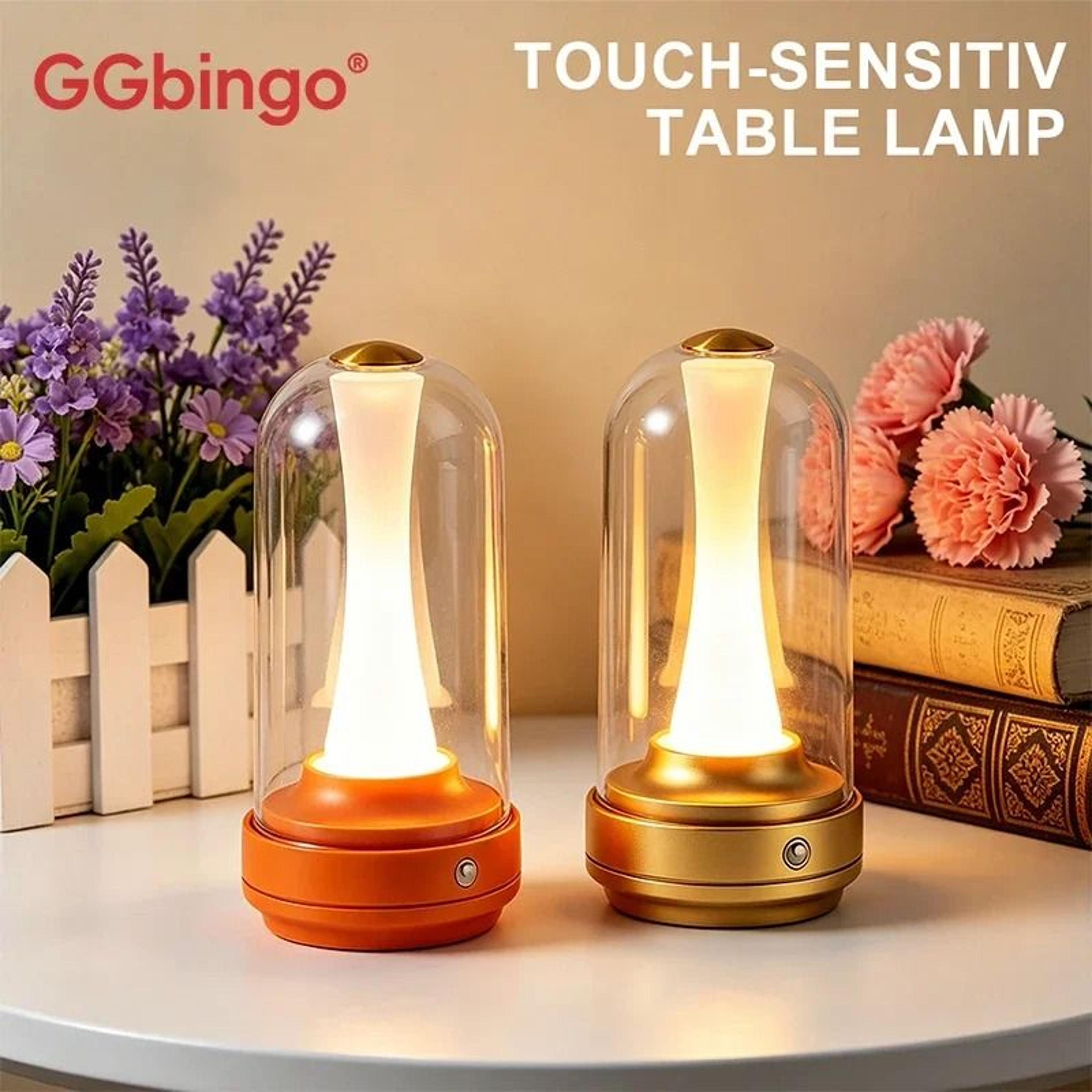 touch-control dimmable led bedside night light (usb rechargeable mood lamp with glass lampshade)