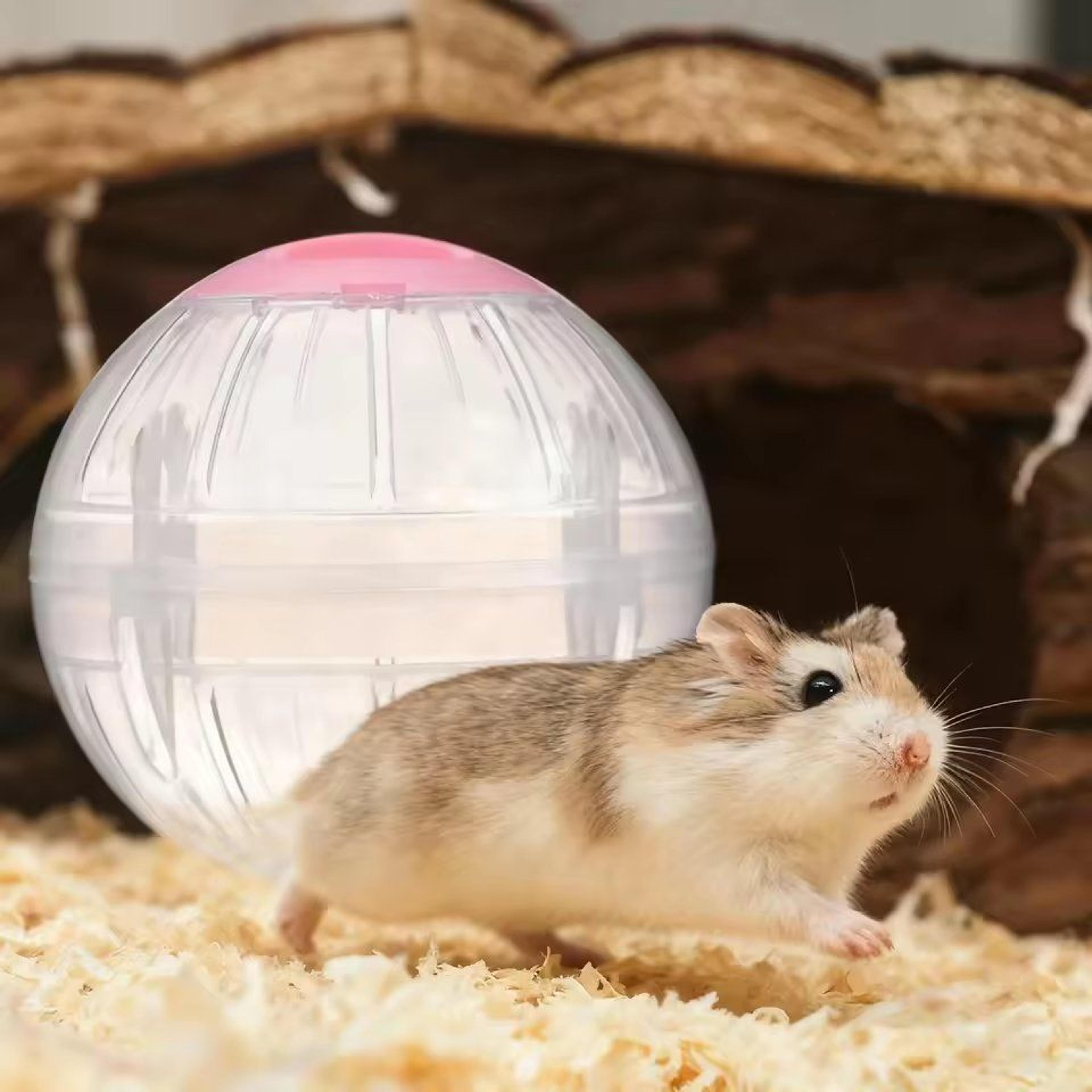 small pet mice jogging ball plastic exercise grounder toy for hamster gerbil