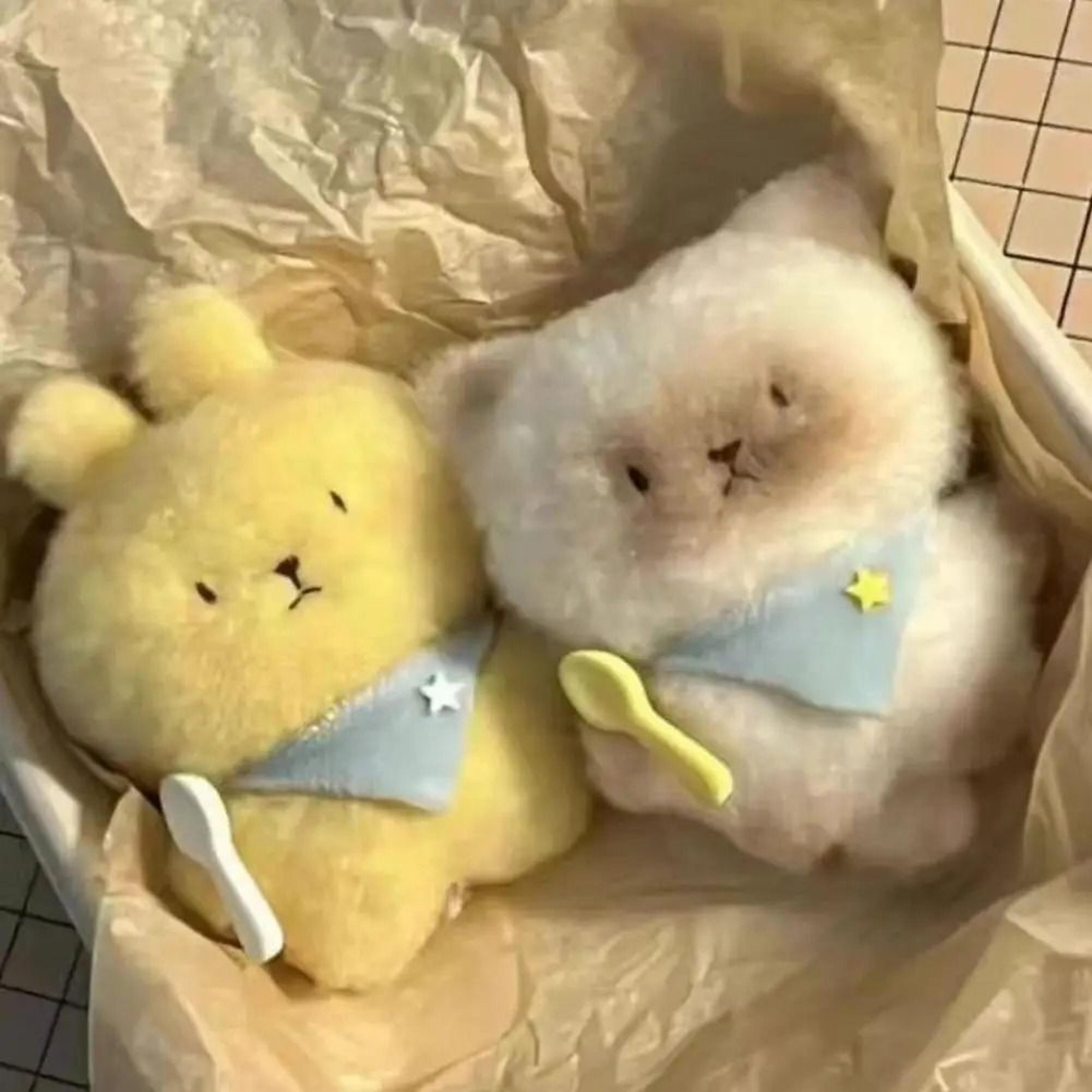 cartoon siamese cat plush toy keychain kawaii soft stuffed animal bag pendant & keyring