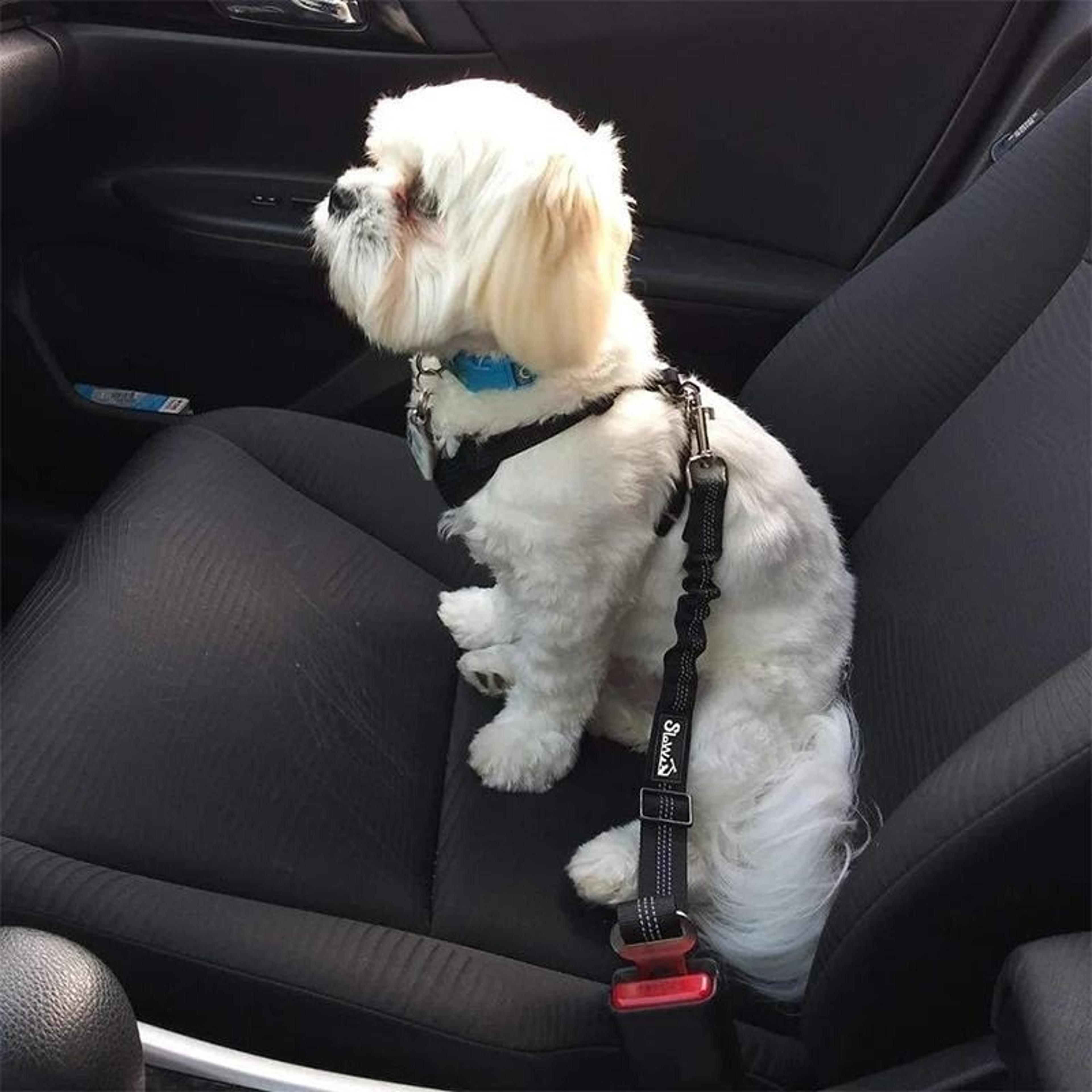 adjustable retractable bungee dog car seatbelt & shock-absorbing elastic pet safety leash