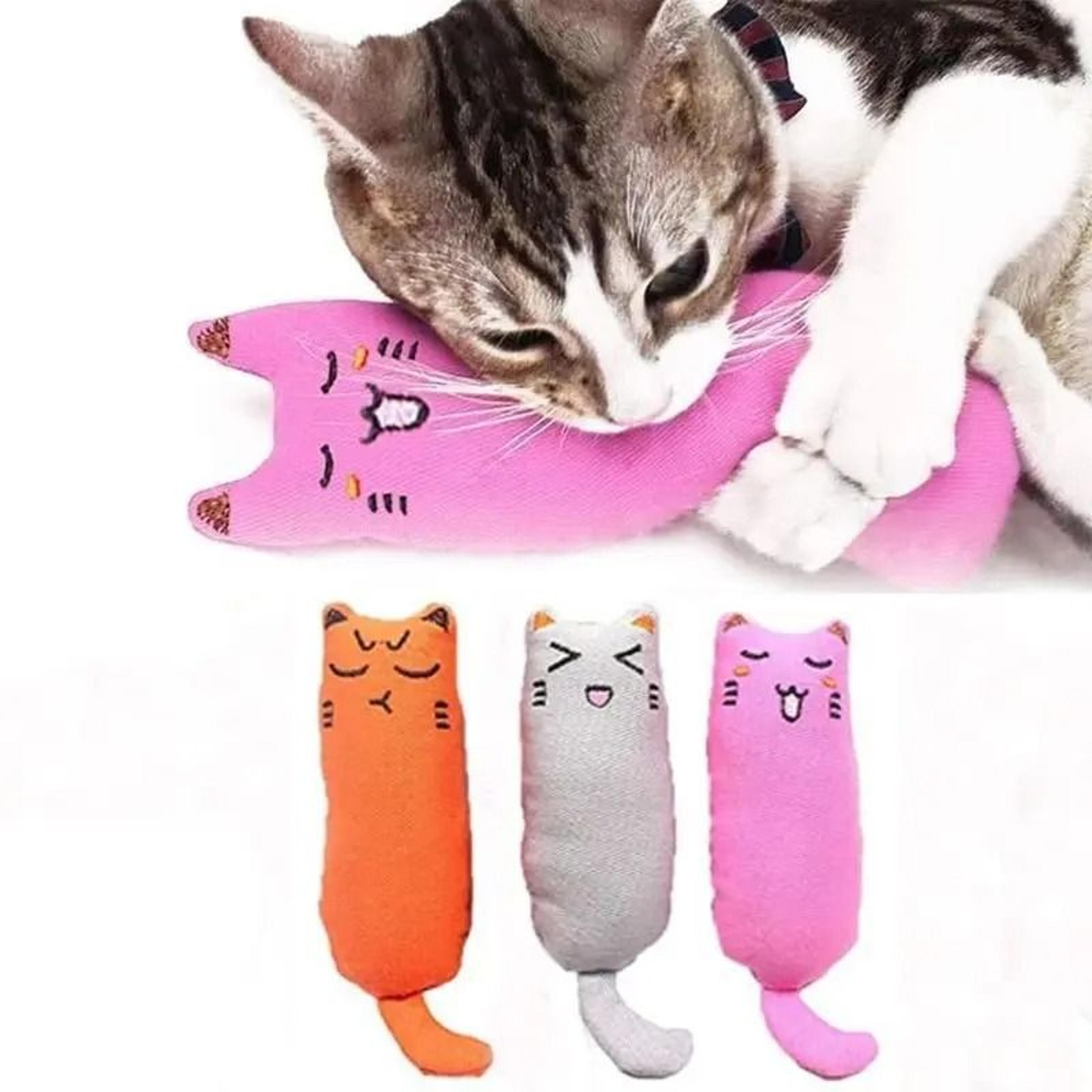 catnip thumb plush pillow & bite-resistant teeth grinding chew toy set