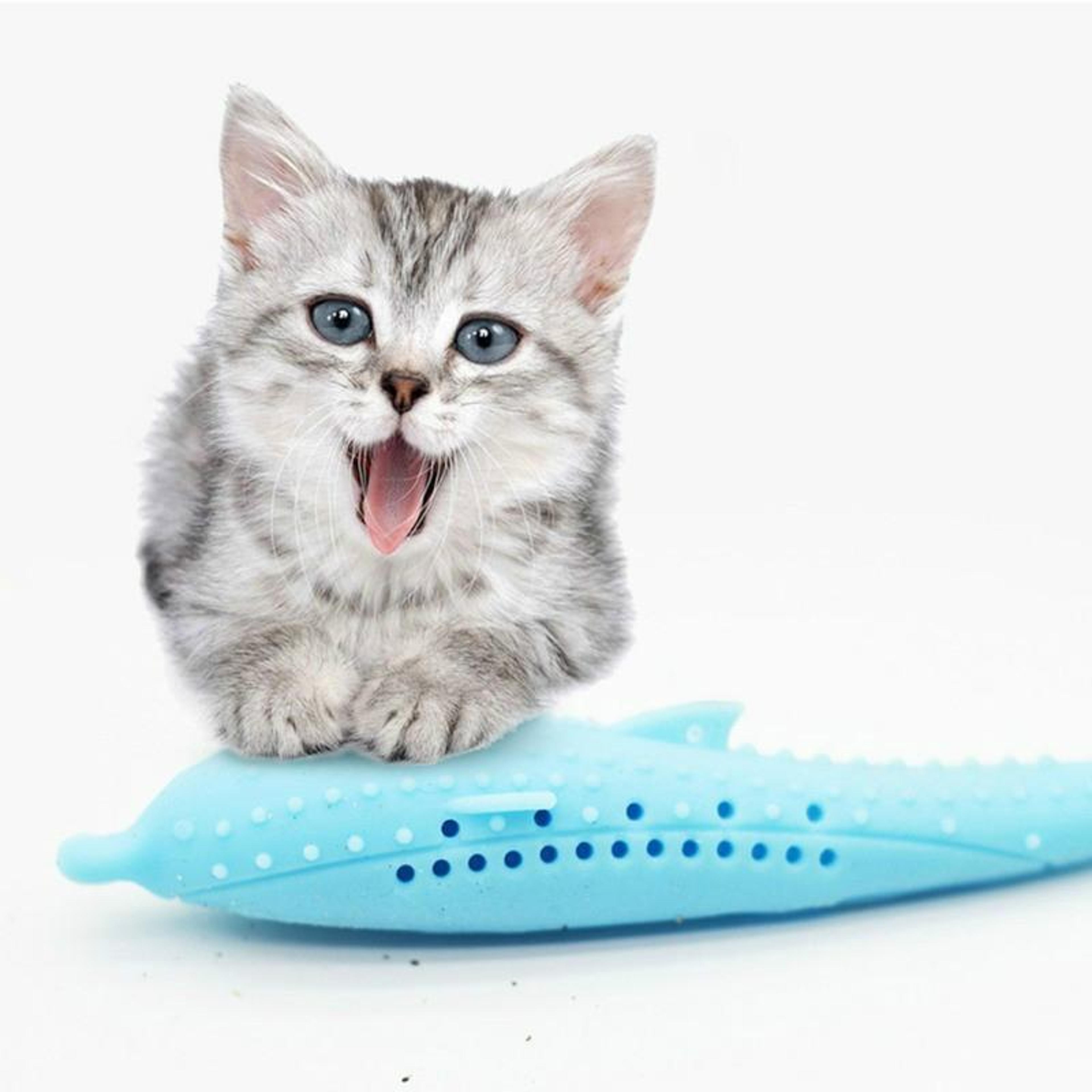 catnip dolphin cat teeth cleaning silicone chew toy, interactive dental care pet toy for cats