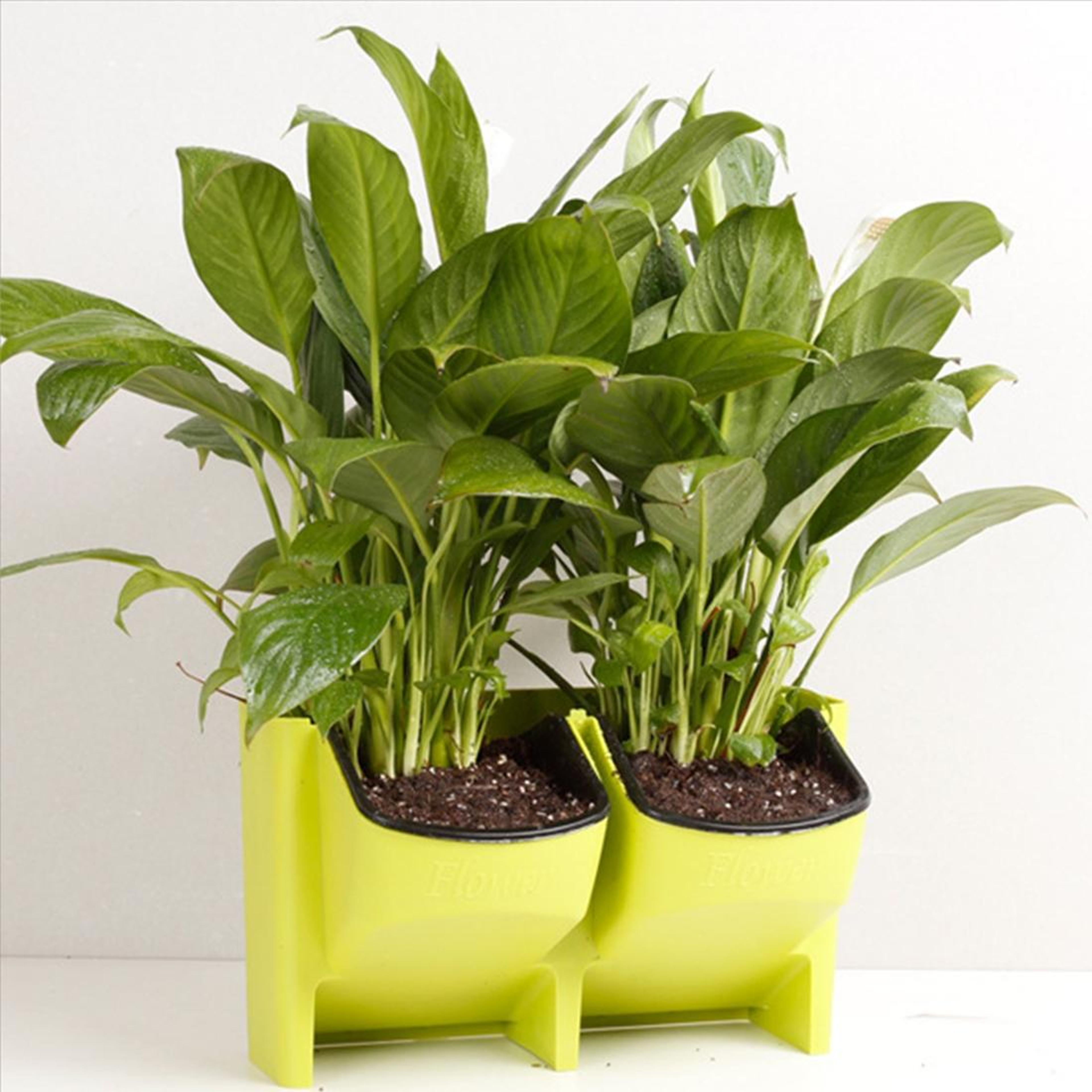 vertical garden wall planter set with removable pots for indoor outdoor balcony decor