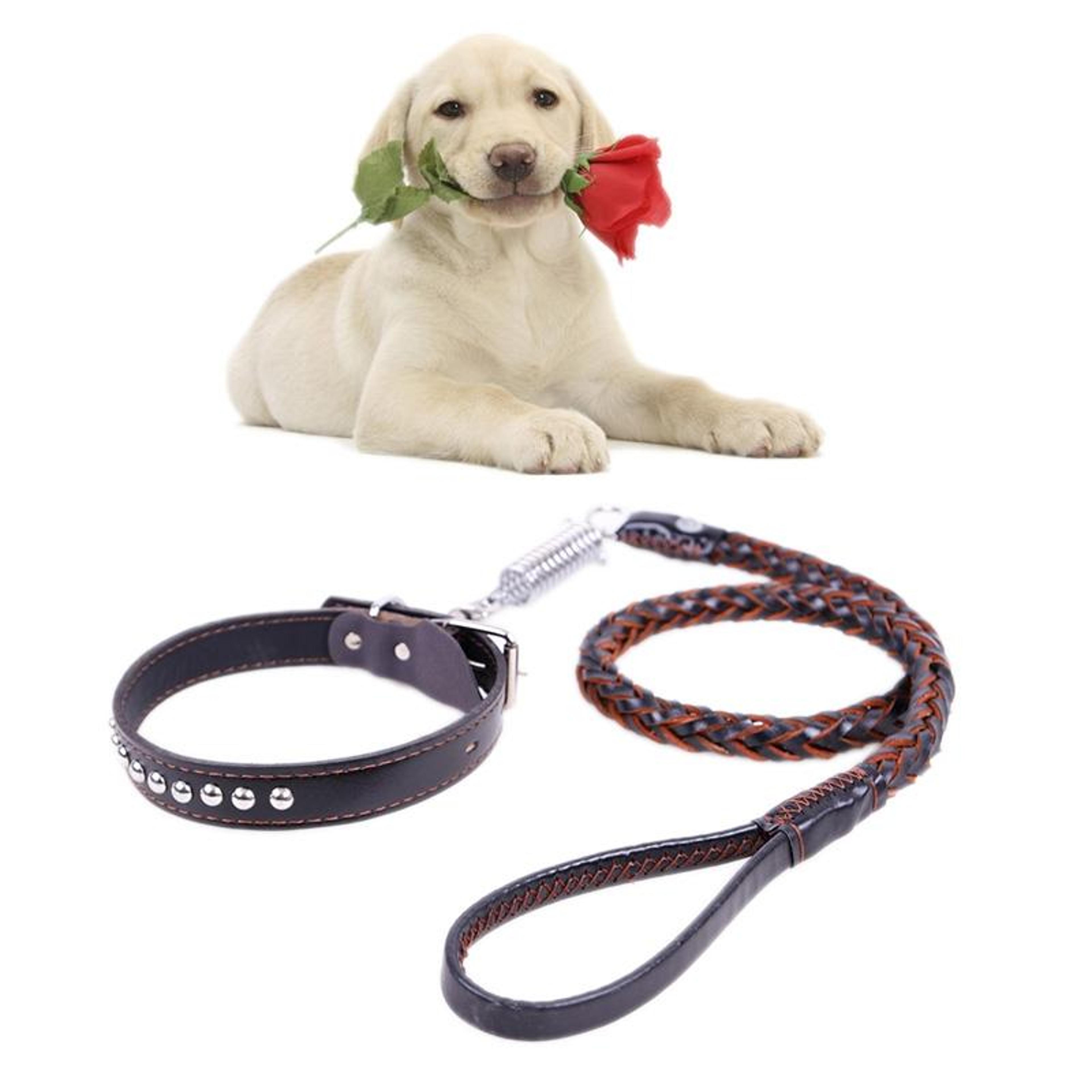 heavy duty leather dog collar and leash set with shock absorbing dog leash, genuine cowhide for medium and large dogs