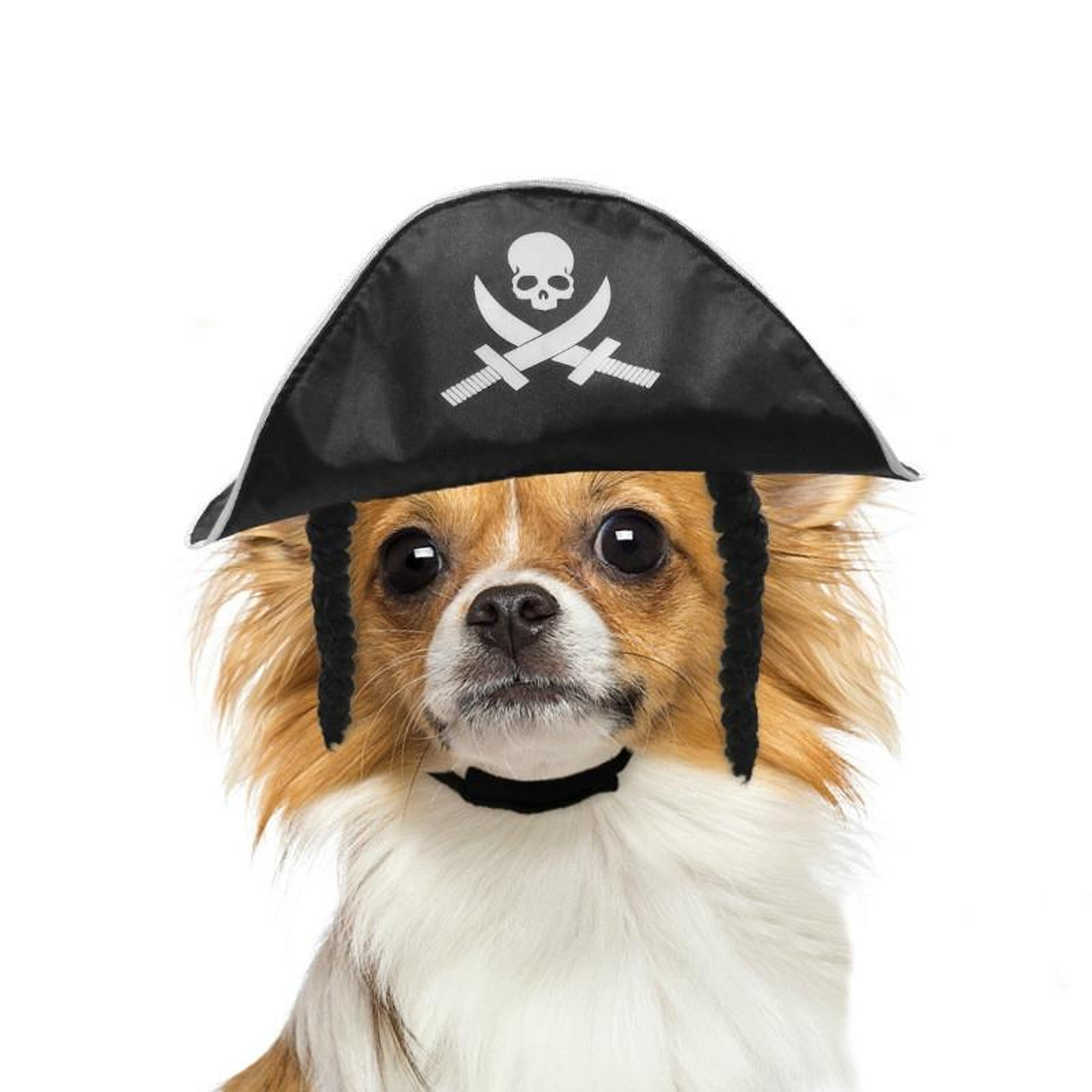 premium pet pirate hat adjustable cat and dog costume hat for halloween & dress up