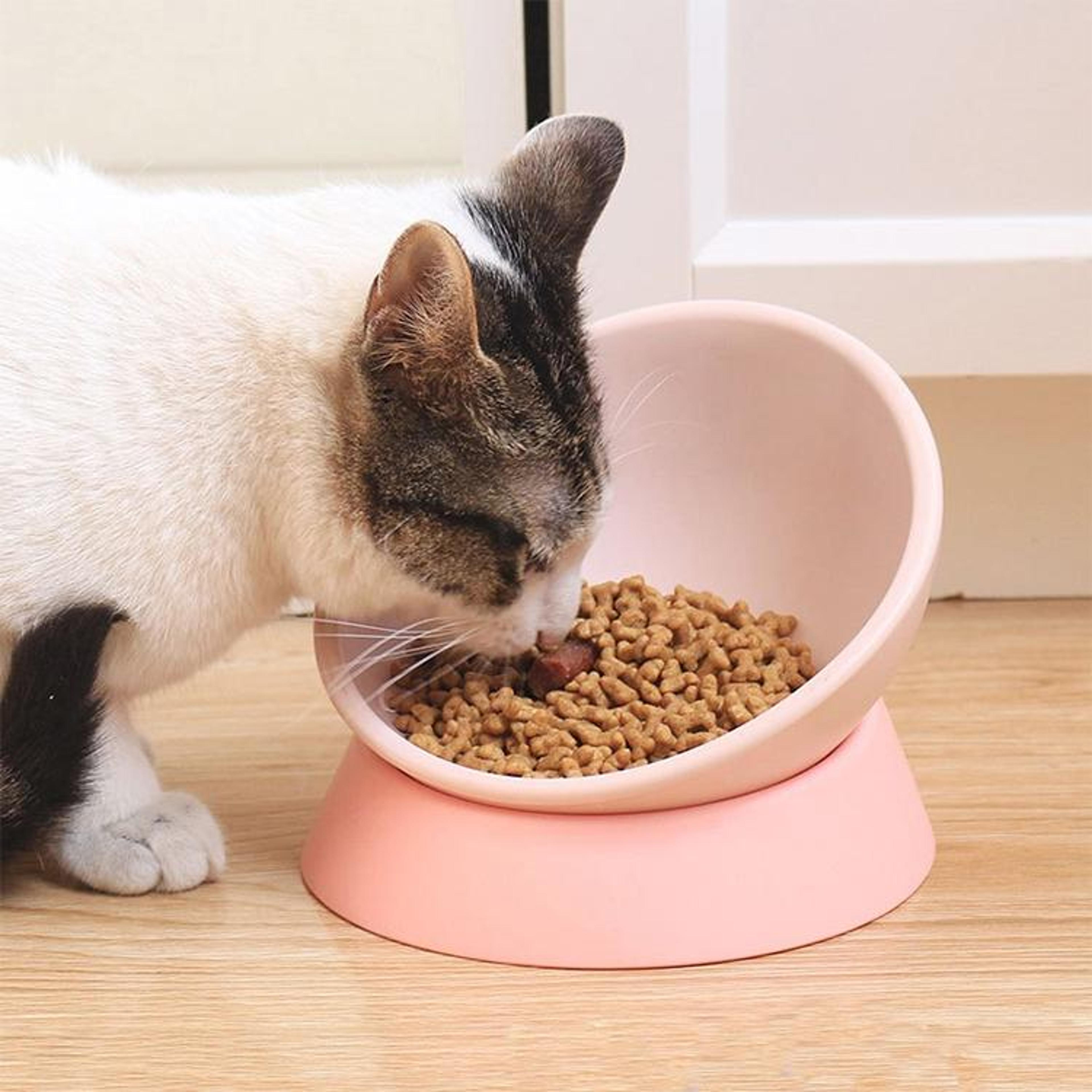 comforttilt adjustable raised pet bowl for cats & dogs non-slip feeding dish