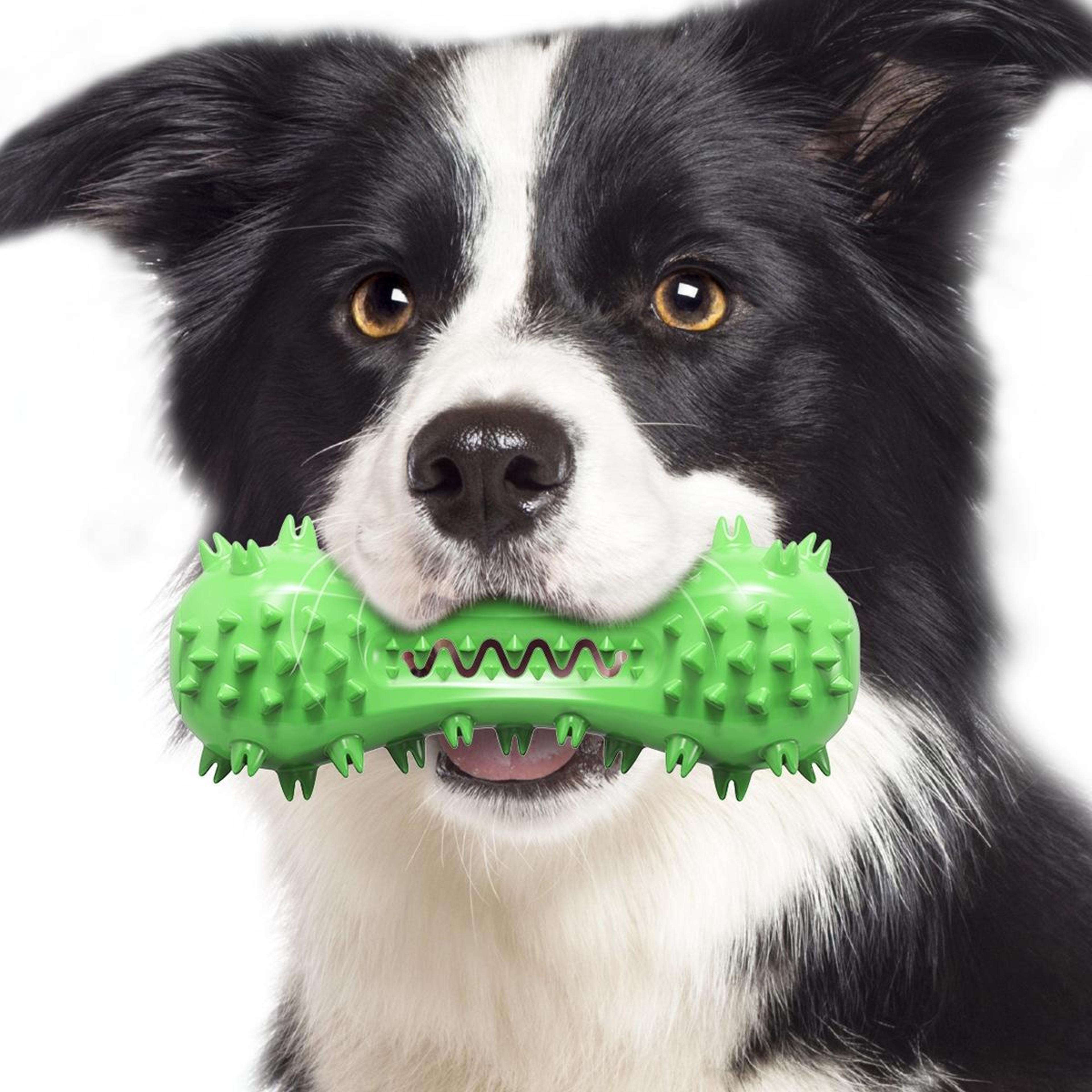 durable dog chew toy with squeaker & dental cleaning molar stick for medium to large dogs