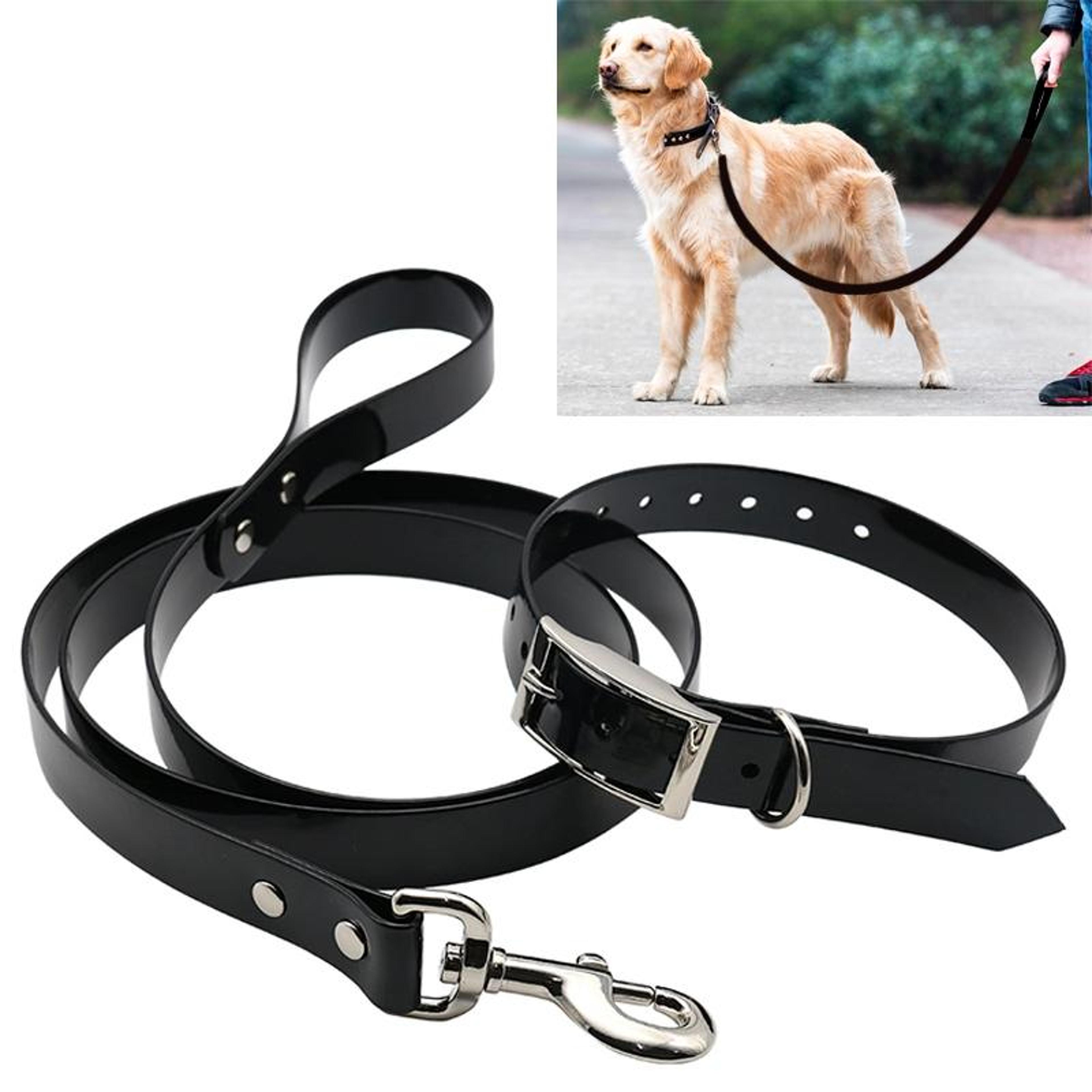 safestride tpu dog collar & waterproof dog walking leash set with handle 120cm