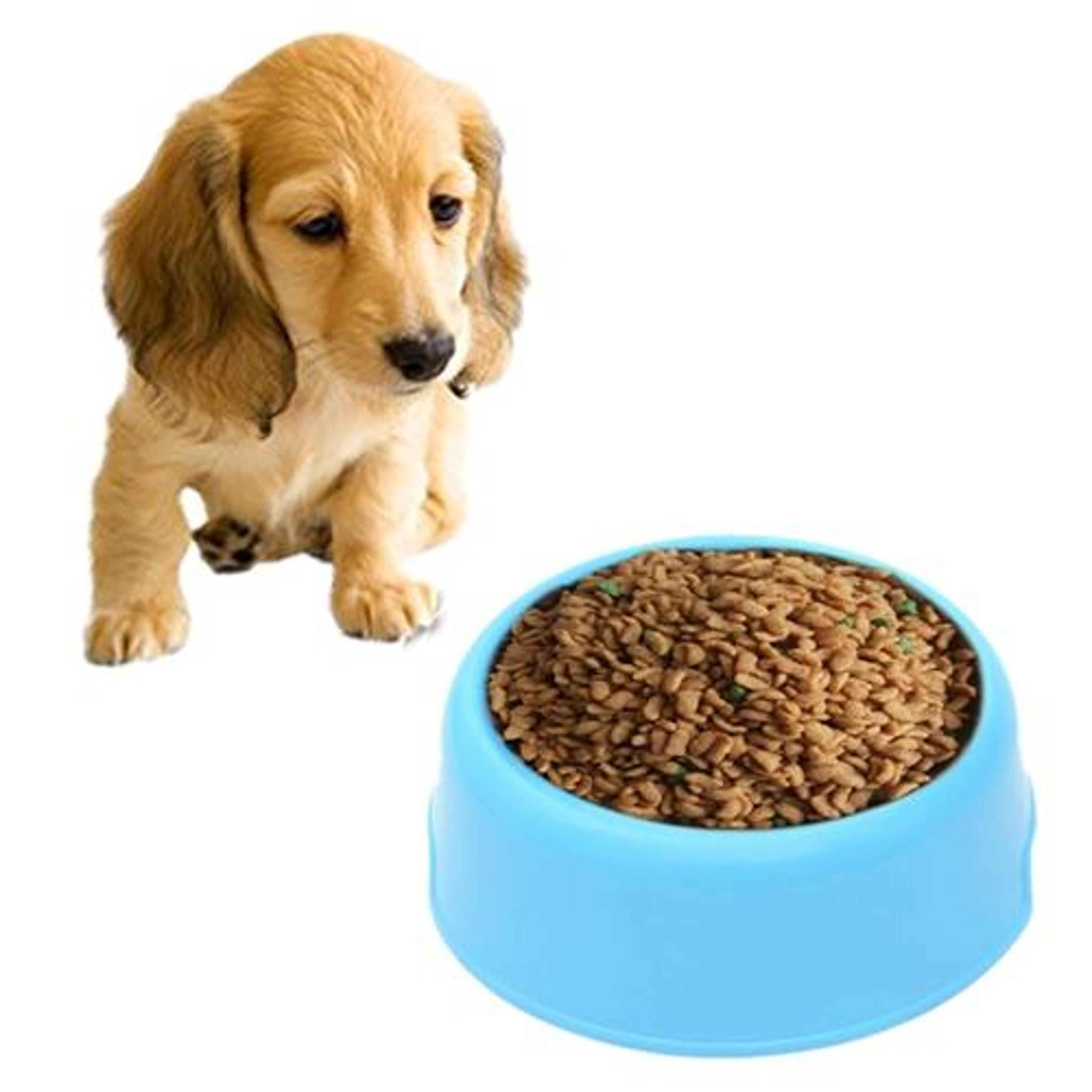 candy color durable pet food bowl for cats, kittens & small dogs