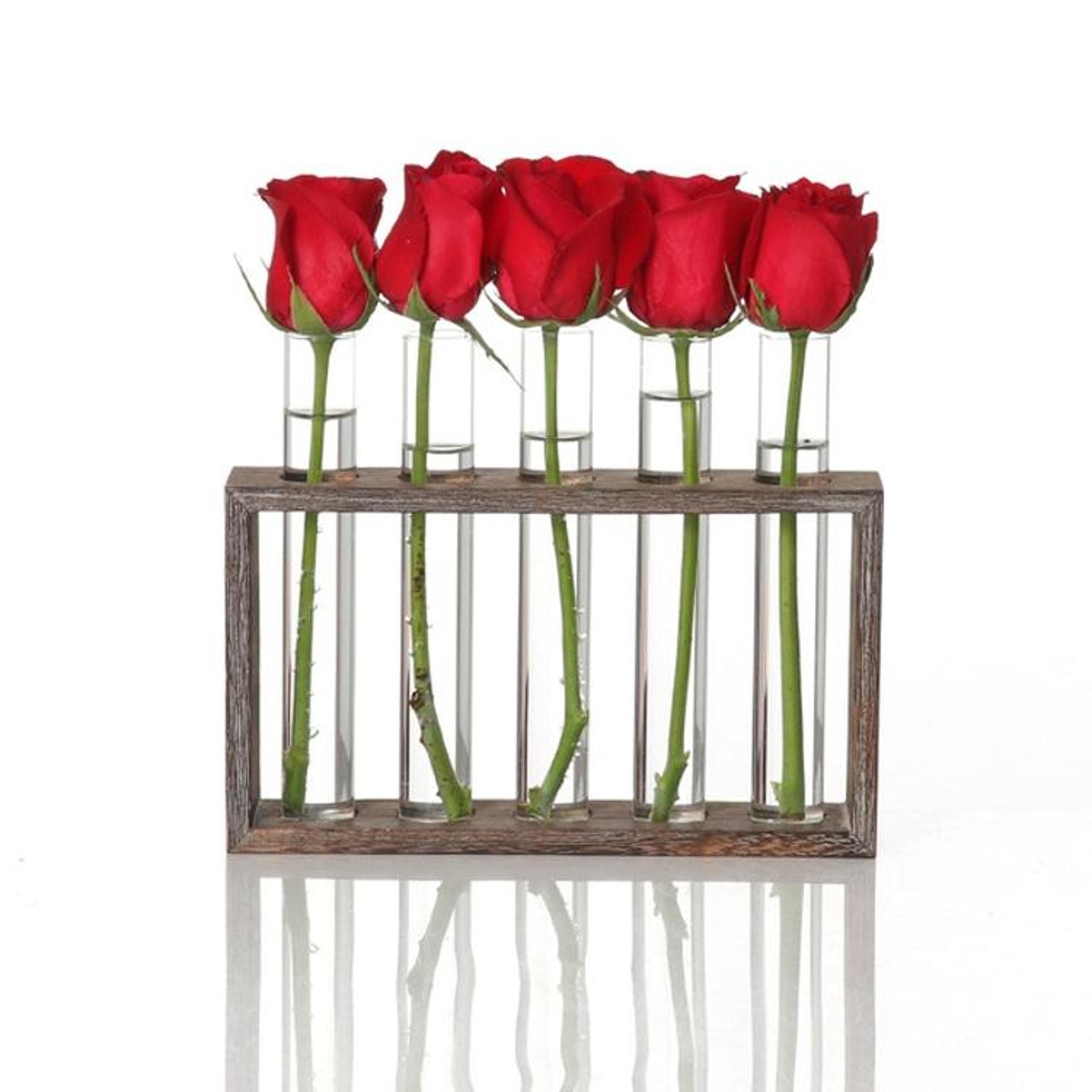 rustic hydroponic glass vase stand with wooden frame desktop plant propagation decor
