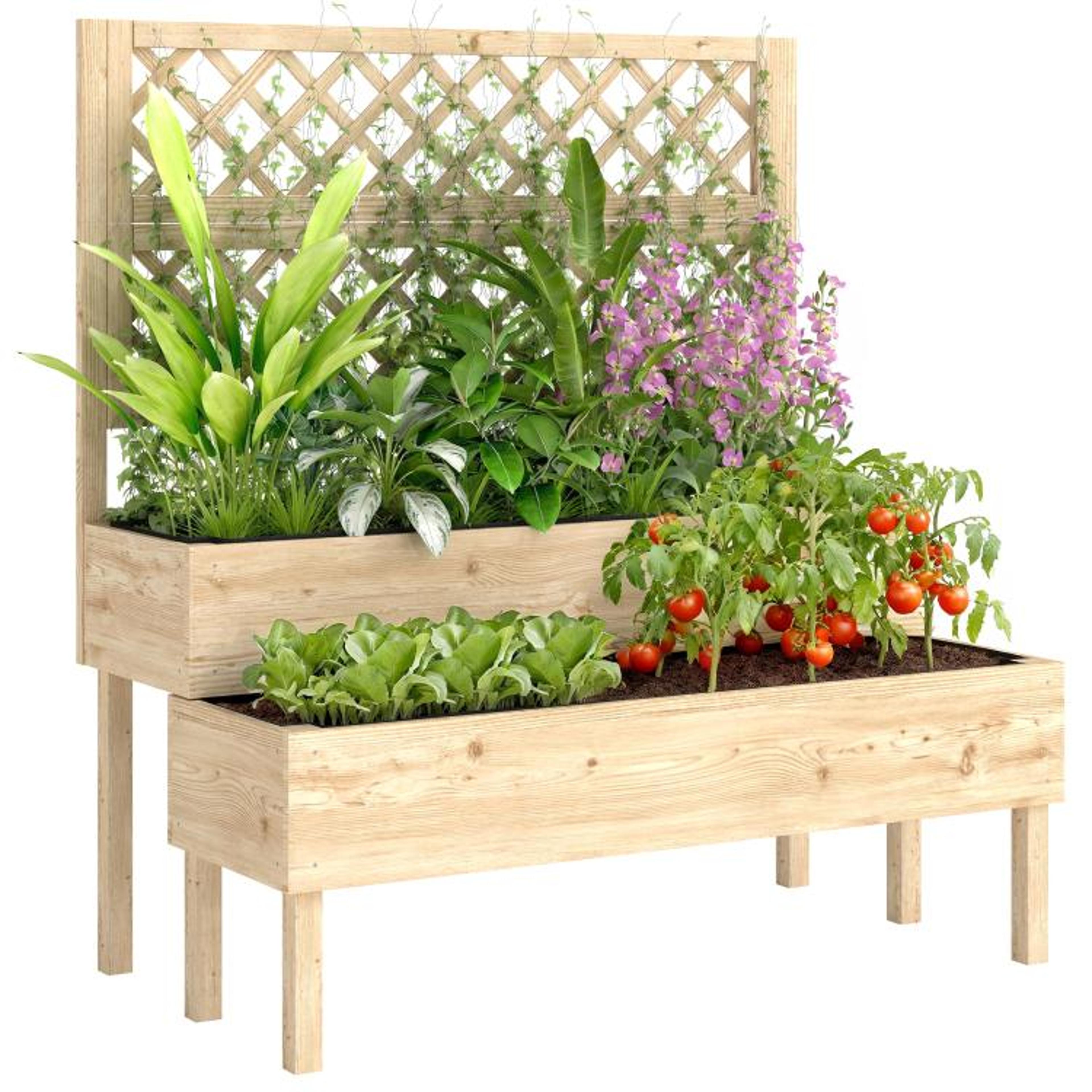 2-tier raised garden bed with trellis and elevated fir wood planter boxes