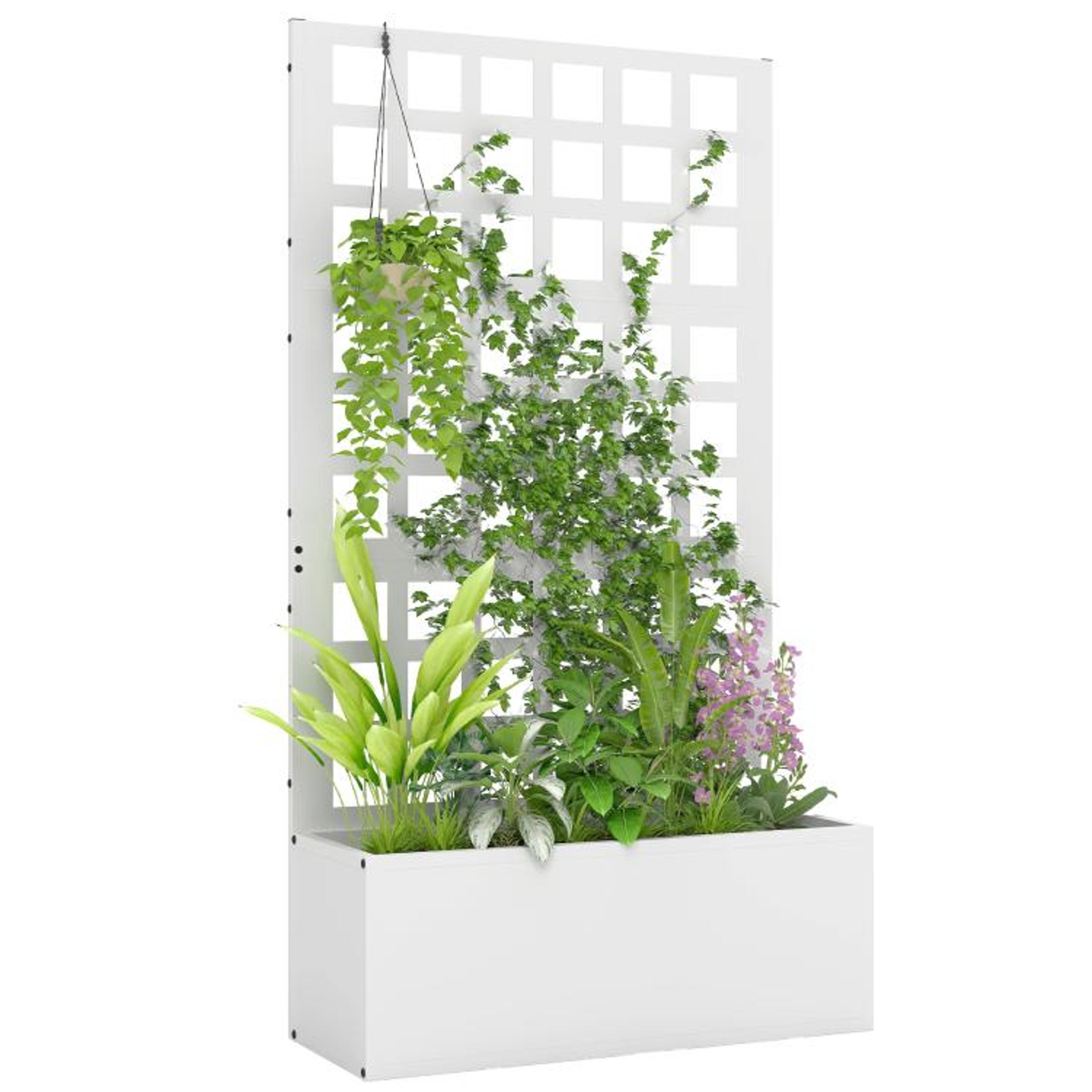 galvanized raised garden bed with trellis for climbing plants white