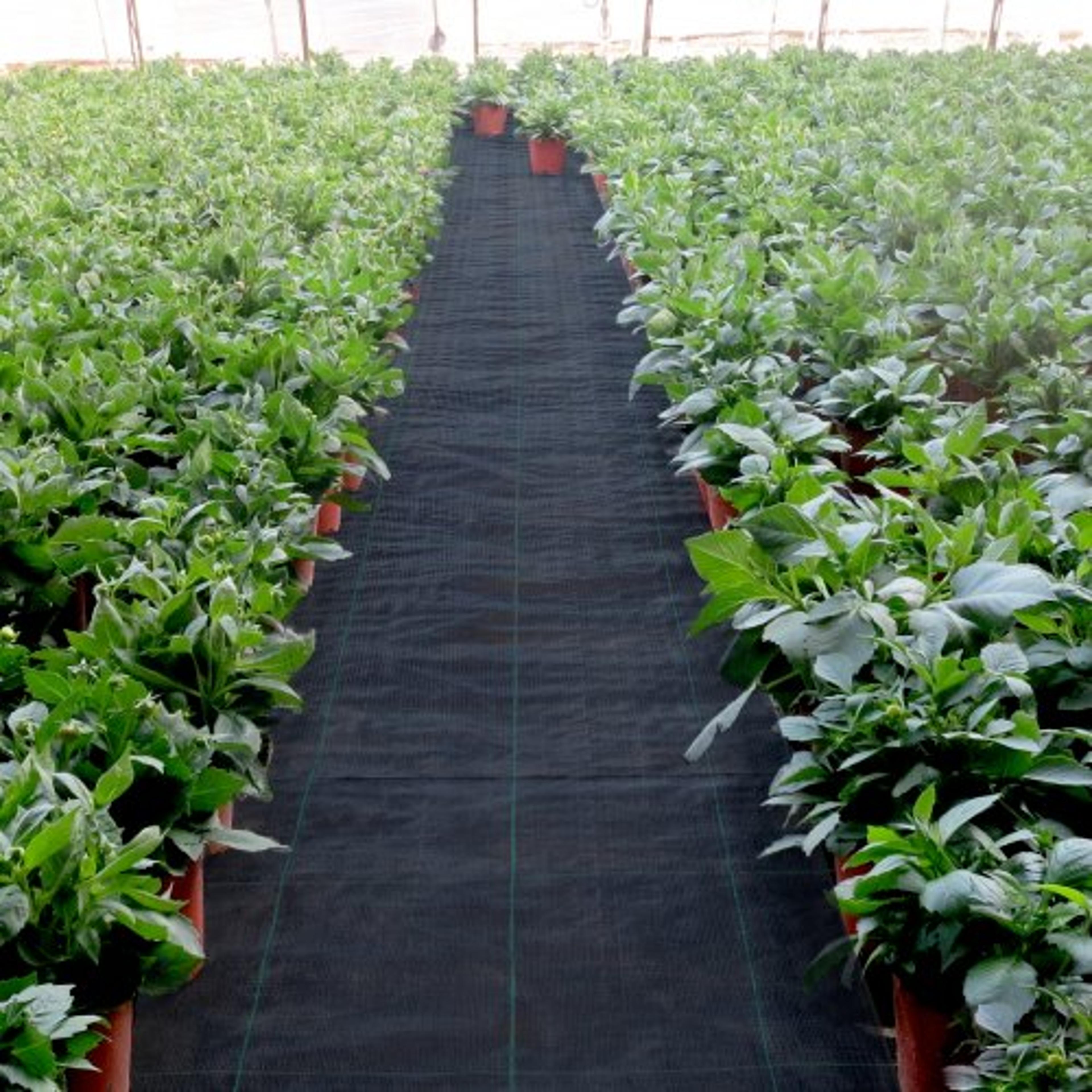 4ft x 100ft weed block landscape fabric, heavy-duty woven geotextile ground cover for gardening