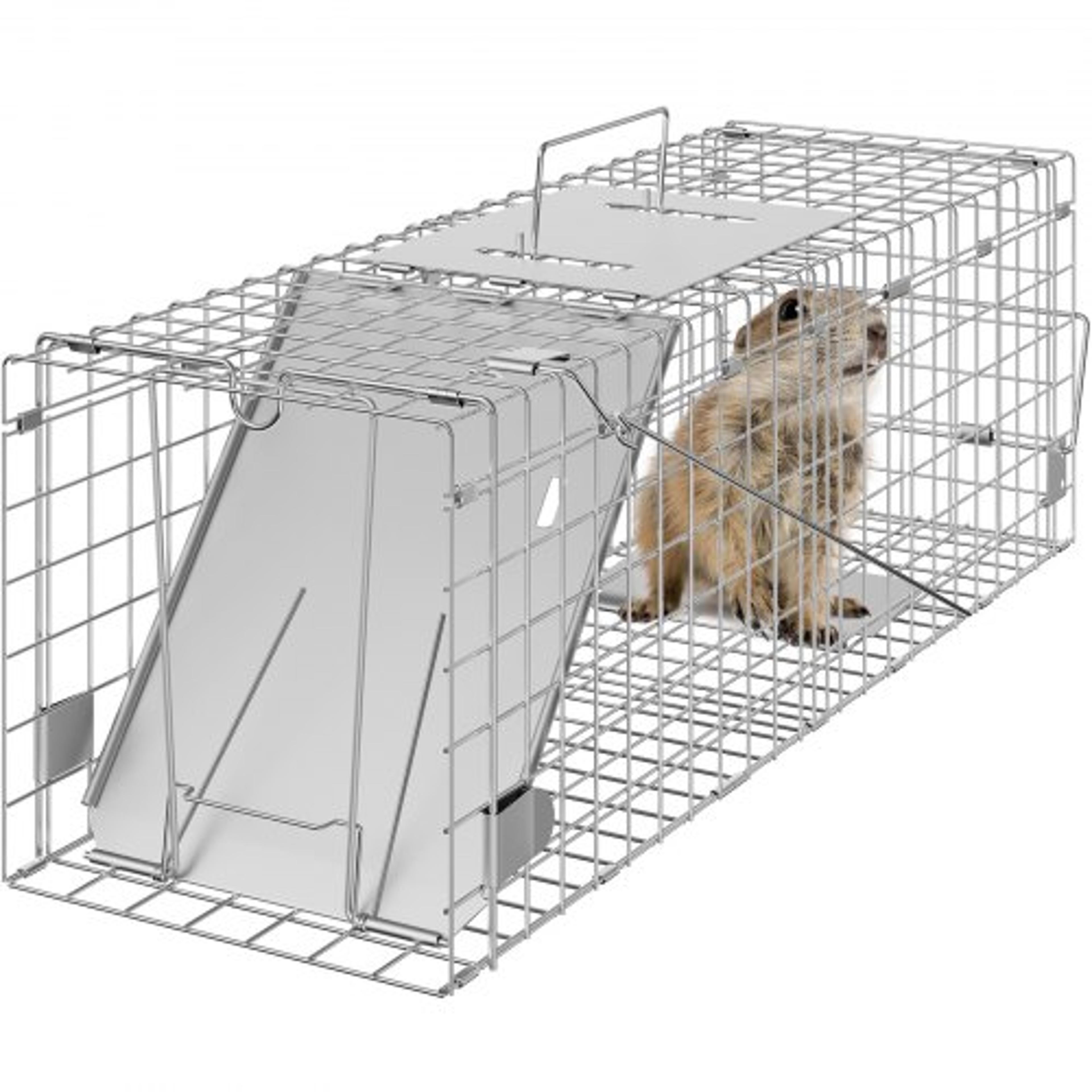 24 inch humane animal trap cage for cats squirrels rabbits and raccoons