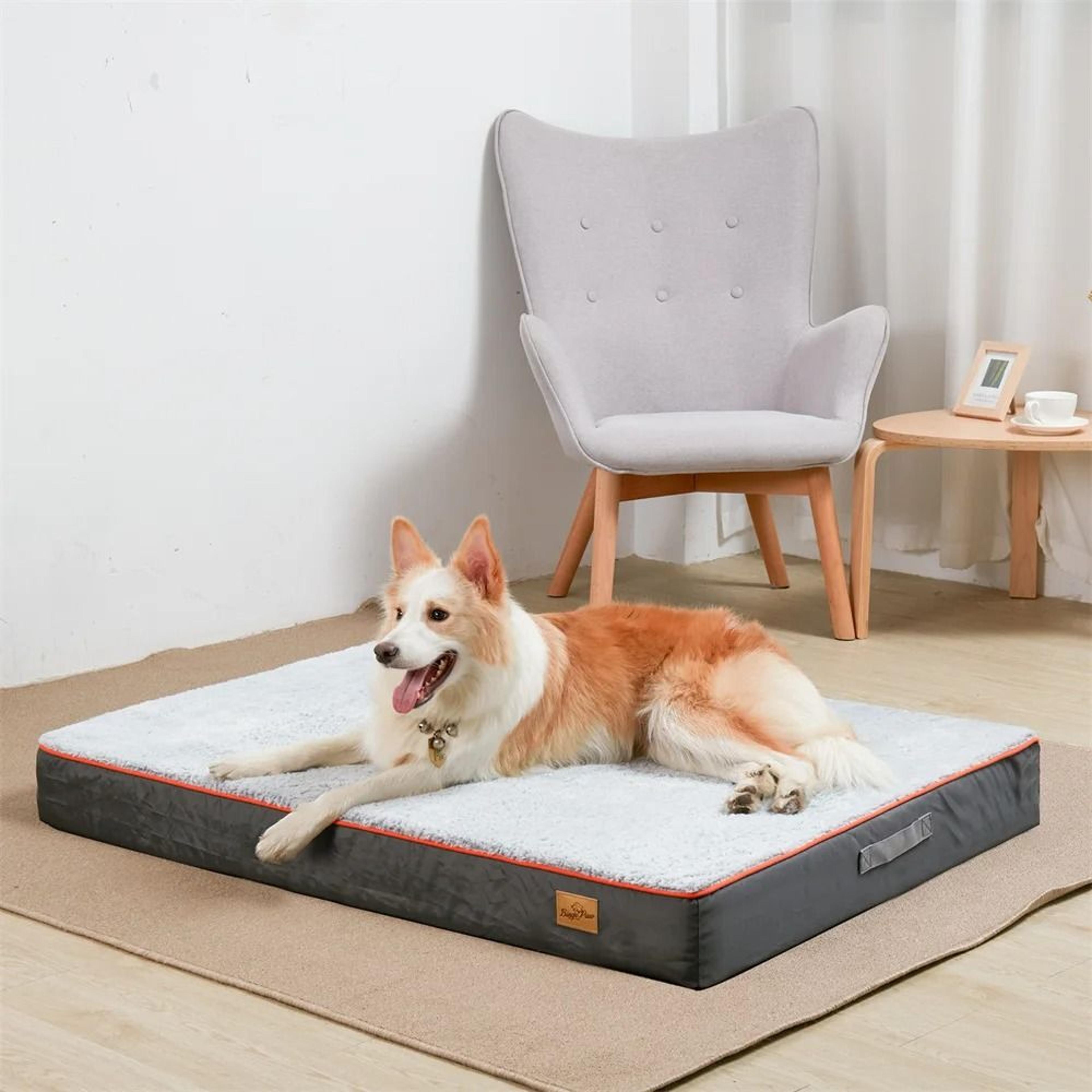 orthopedic memory foam dog bed with waterproof cover and washable design