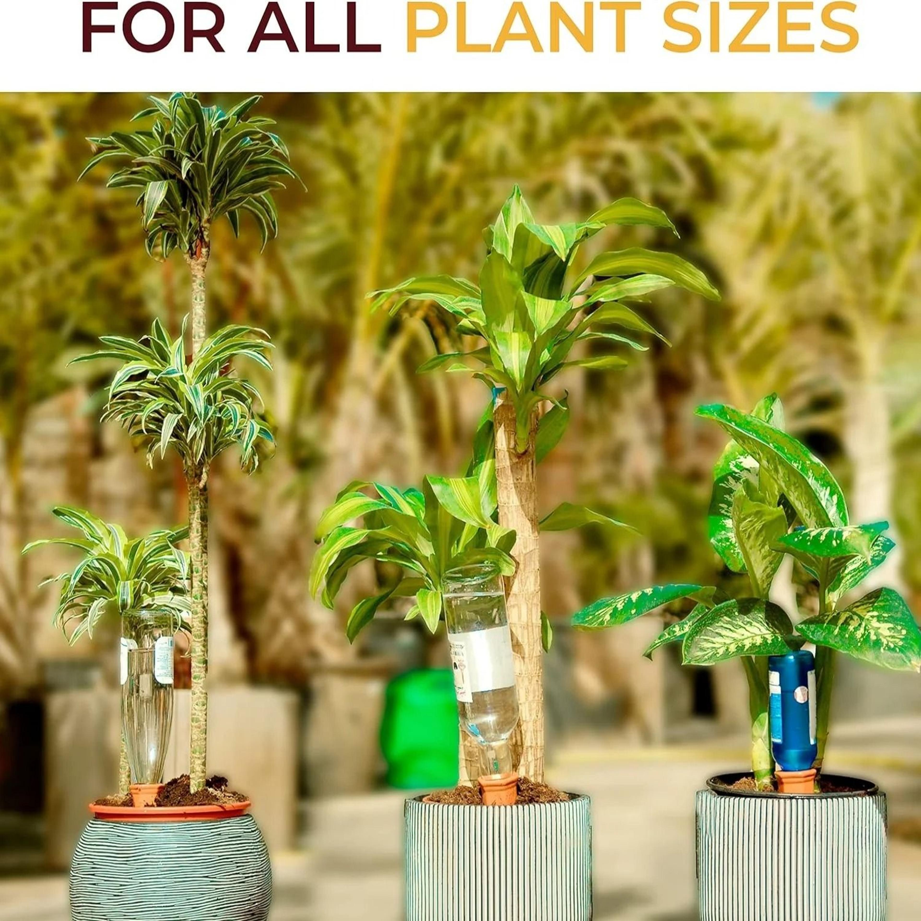 6 pack natural terracotta self watering spikes for indoor and outdoor plants