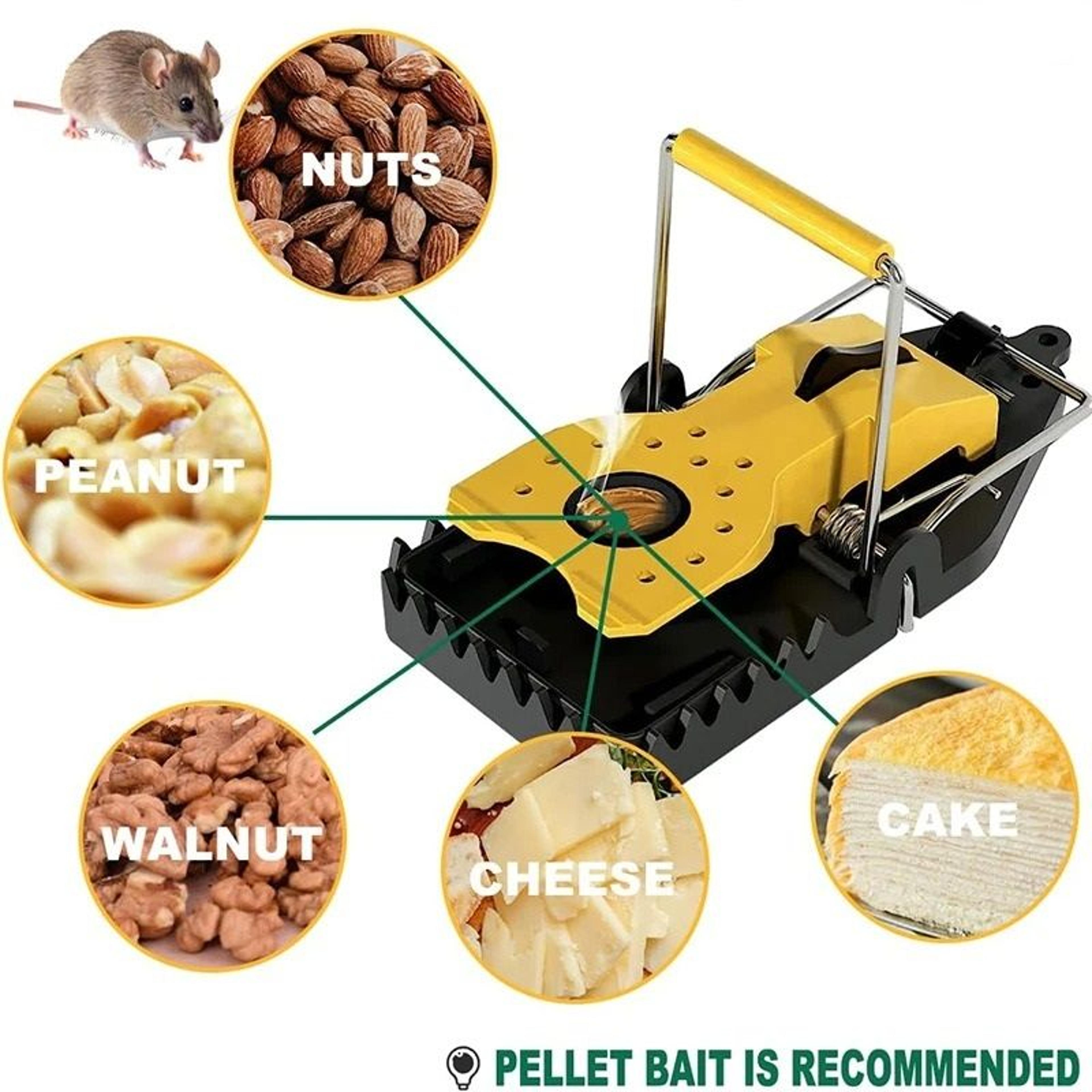universal humane mouse capture trap set of four