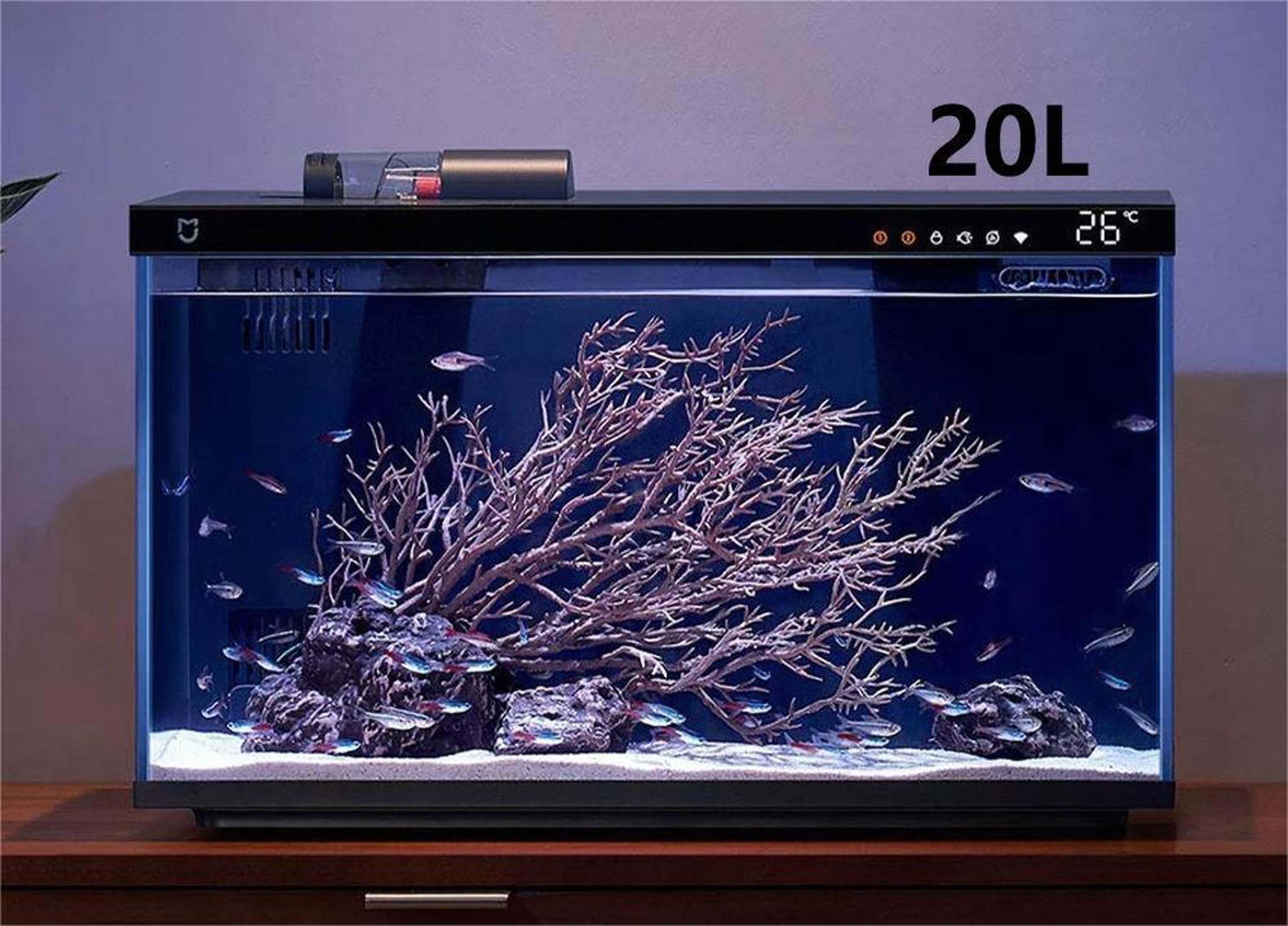 smart desktop fish tank with remote feeding and led lighting
