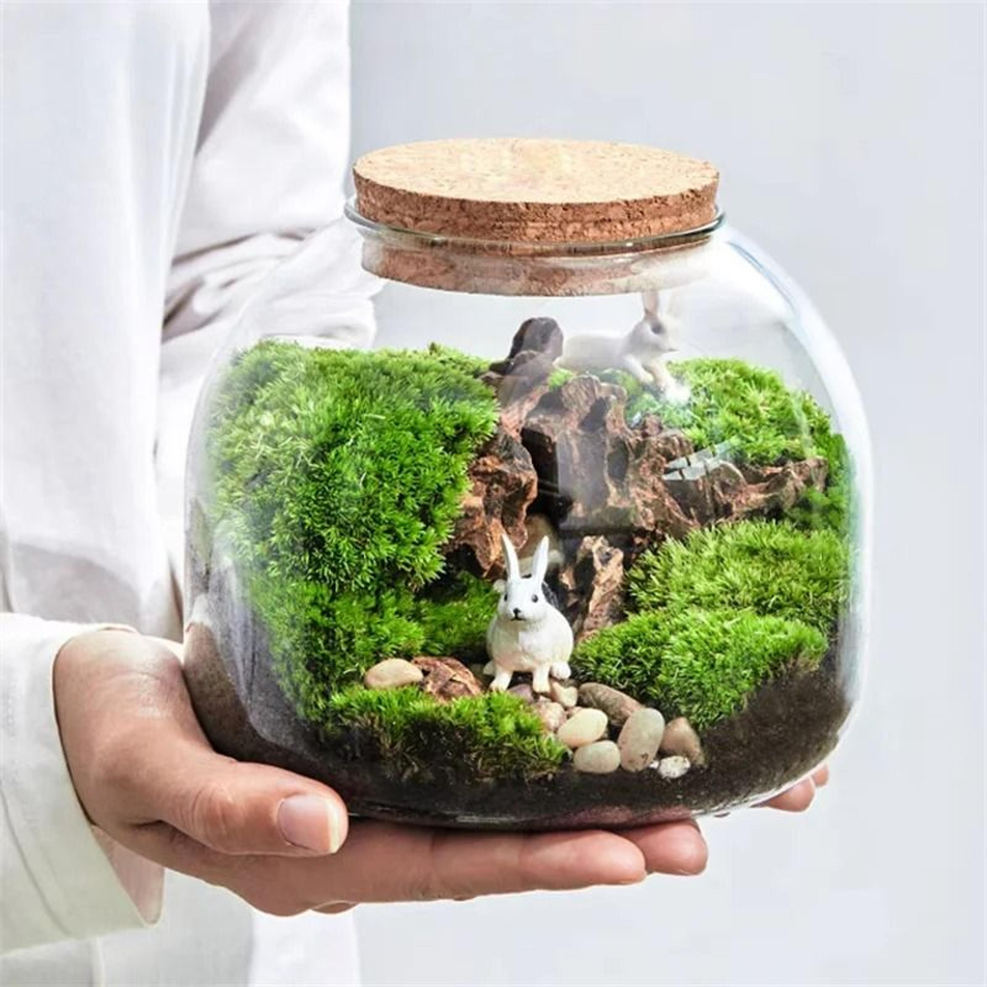 micro landscape moss glass terrarium with optional cork lid