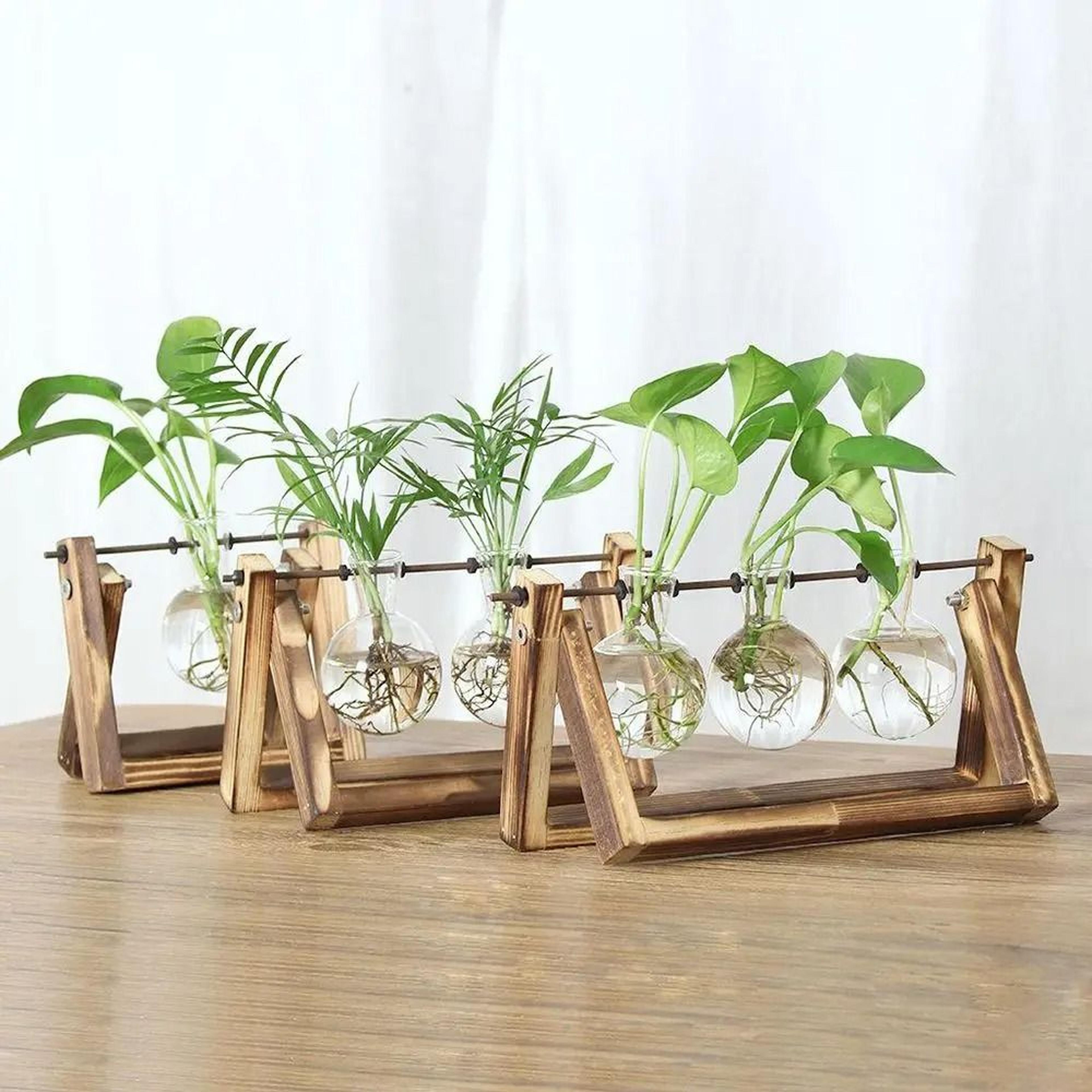 wooden frame glass terrarium tabletop planter for indoor plants