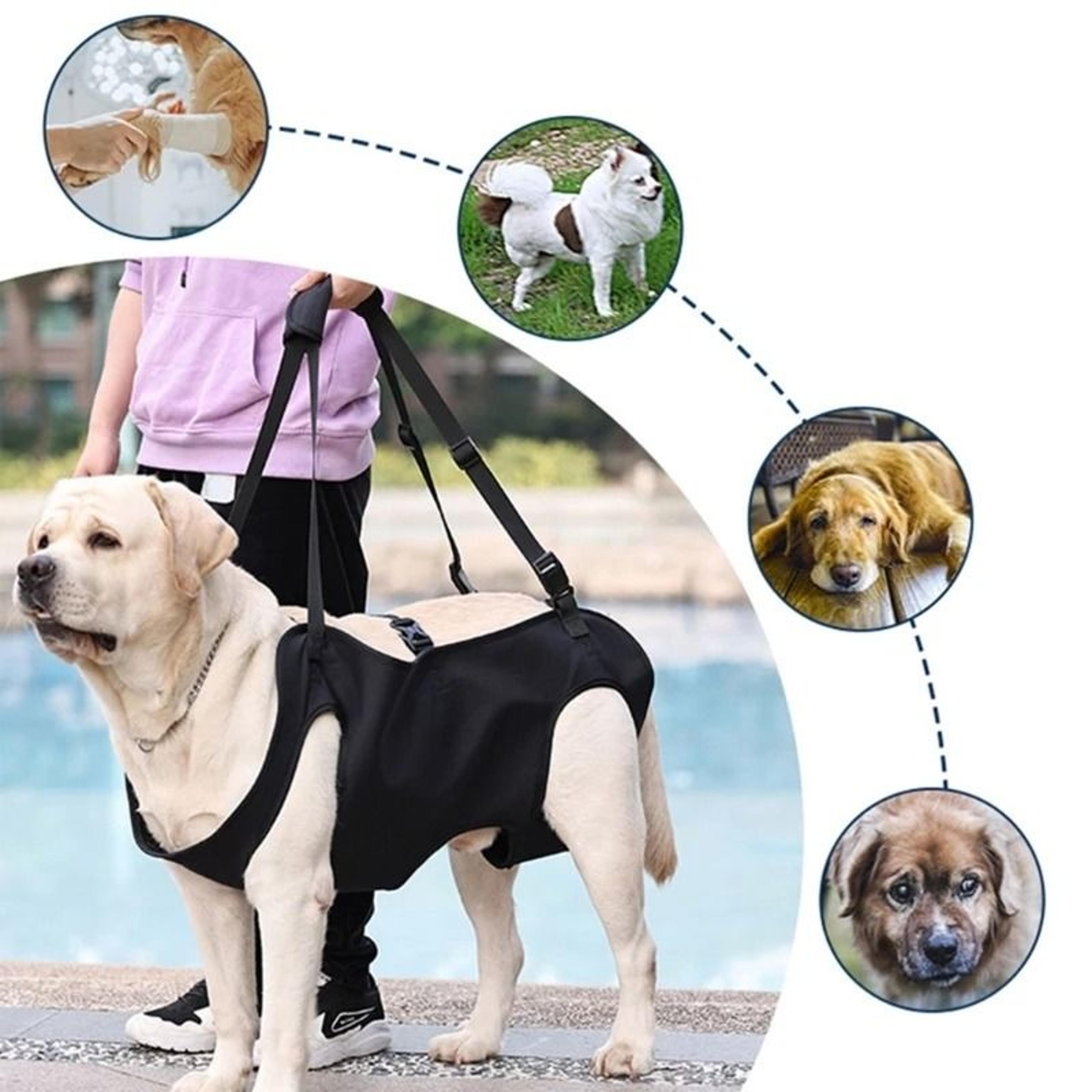 dog lift support harness for injured or elderly dogs