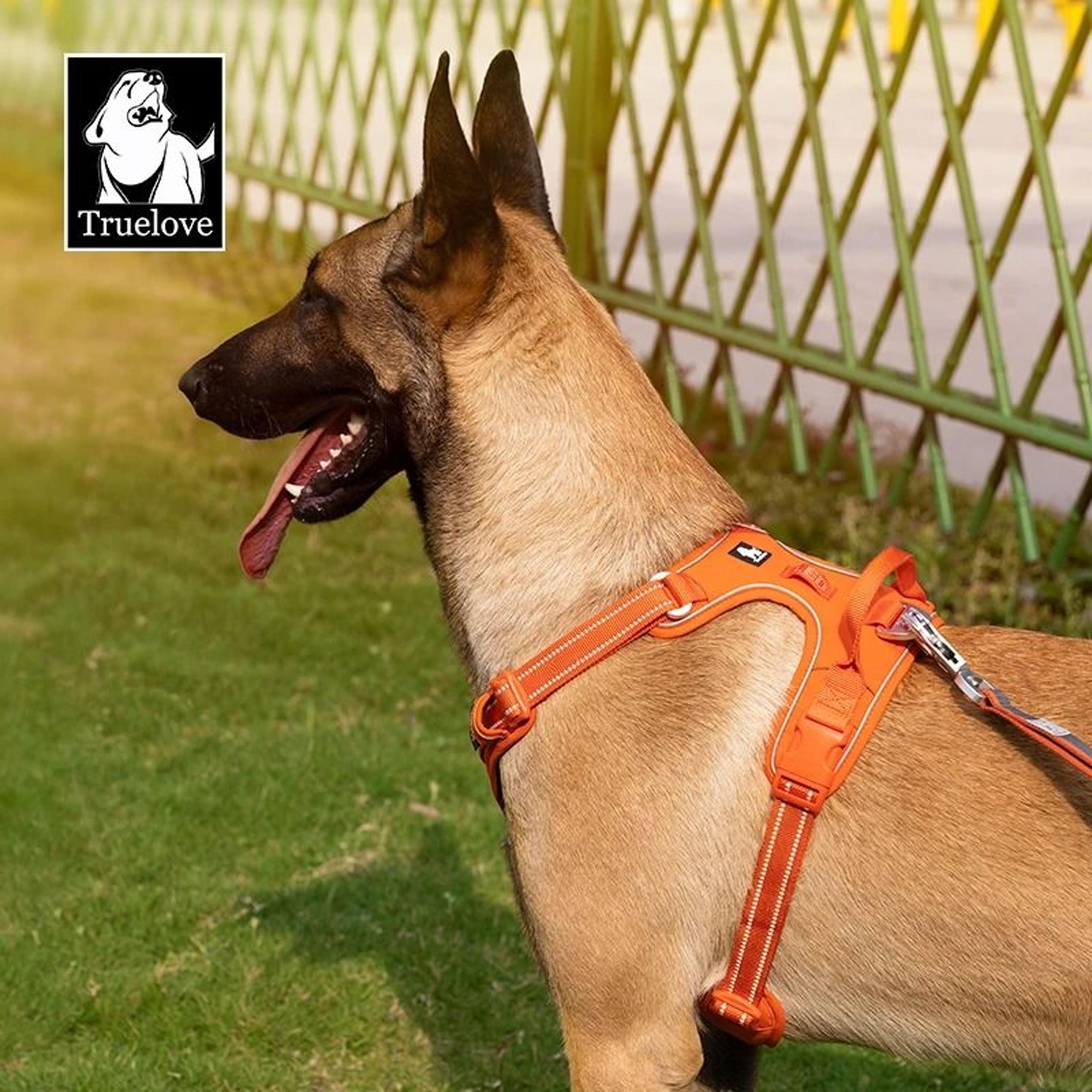 adjustable reflective no pull dog harness for safe walking