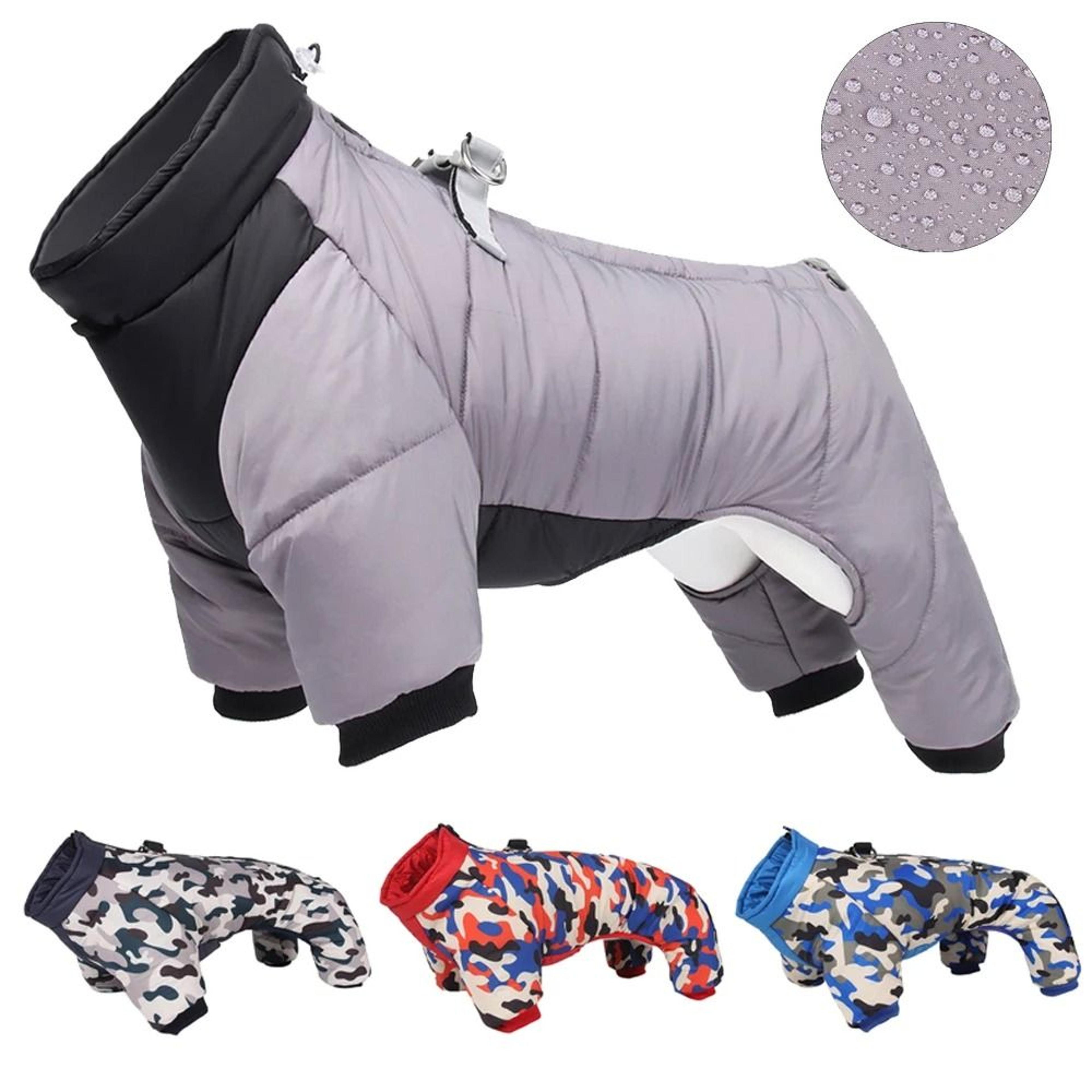 outdoor storm dog jacket with reflective design