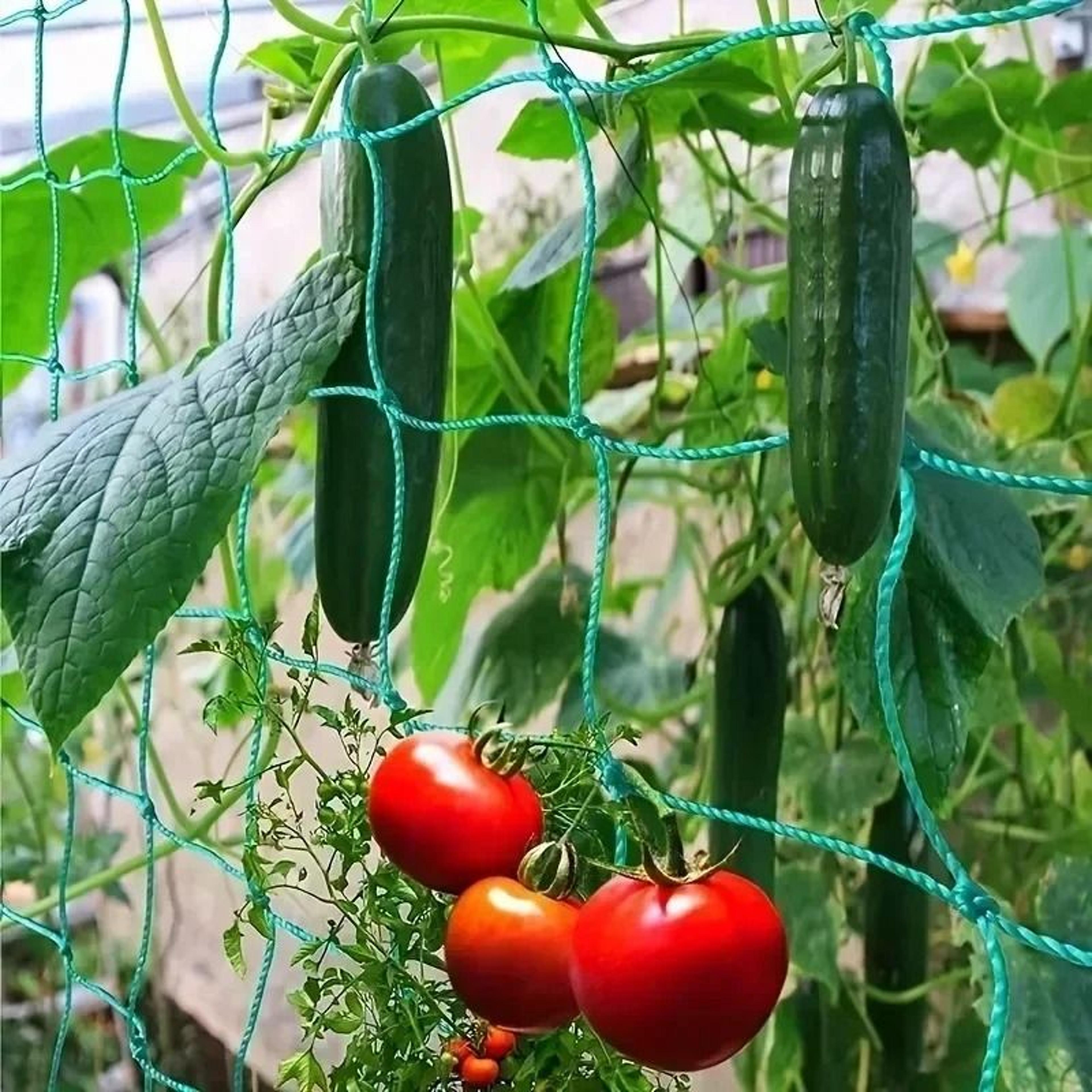 garden climbing net for vegetables and fruits