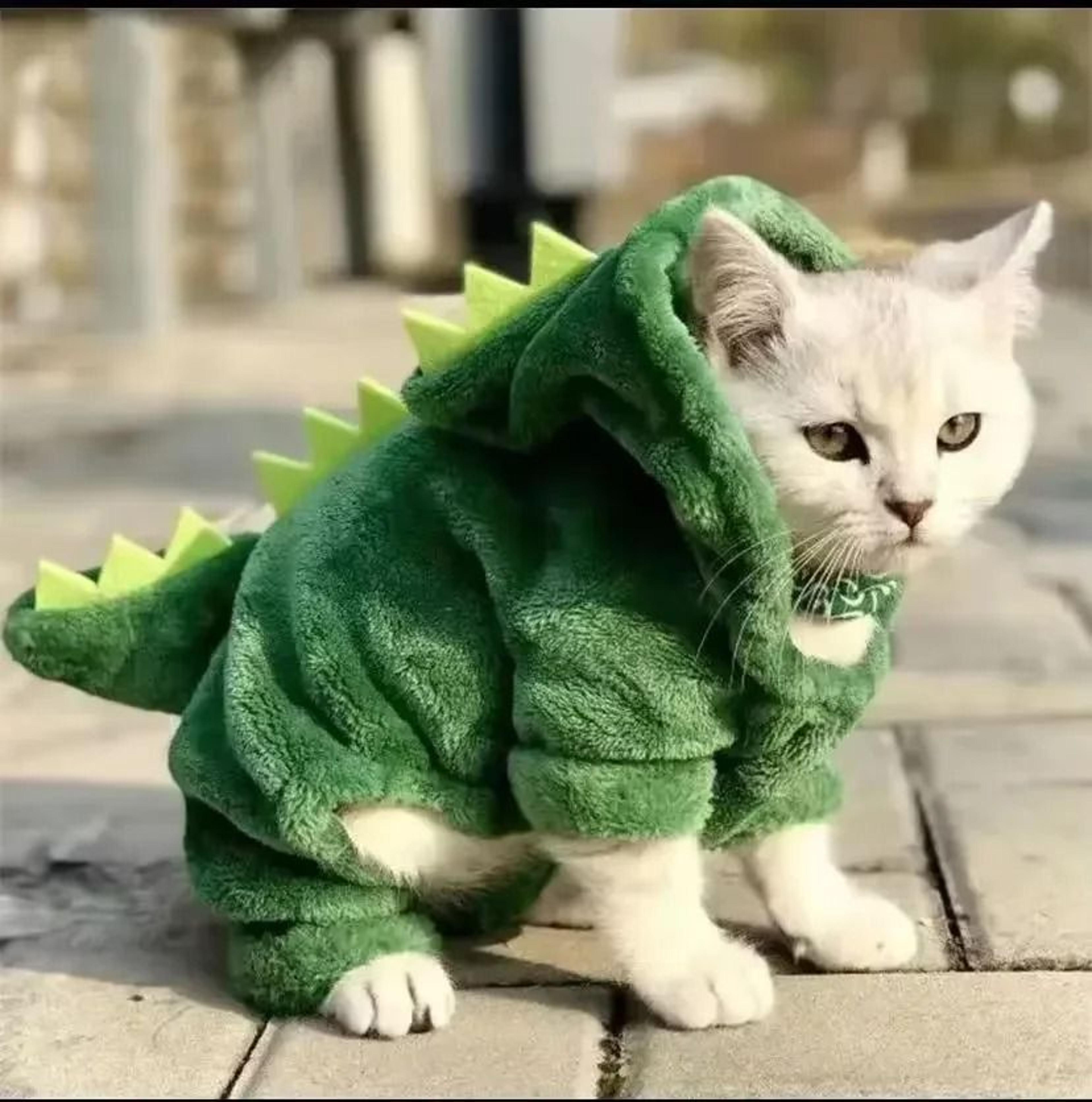 funny dinosaur cosplay hoodie for pets warm winter costume for small and medium dogs and cats