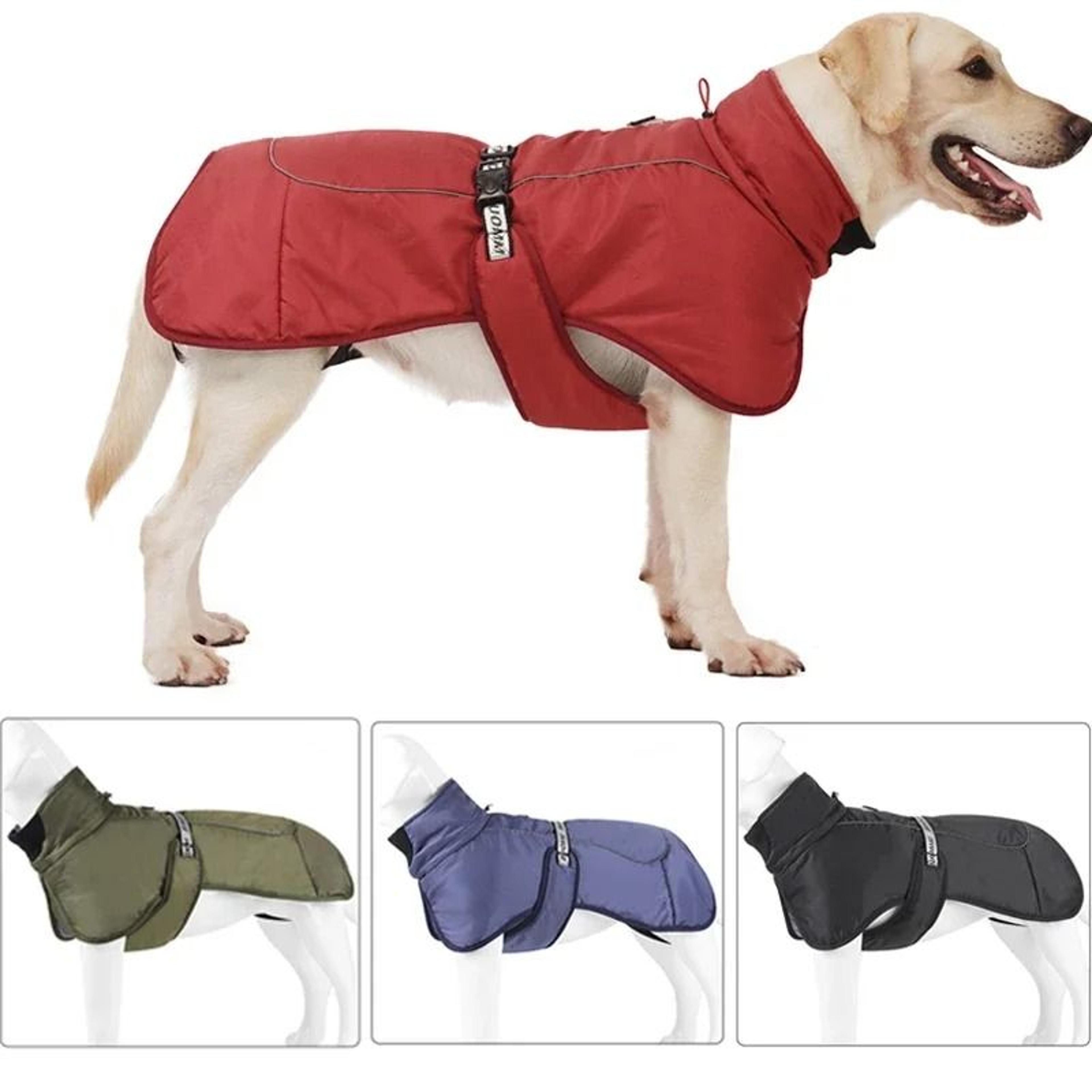 winter windproof big dog jacket for warmth and outdoor protection