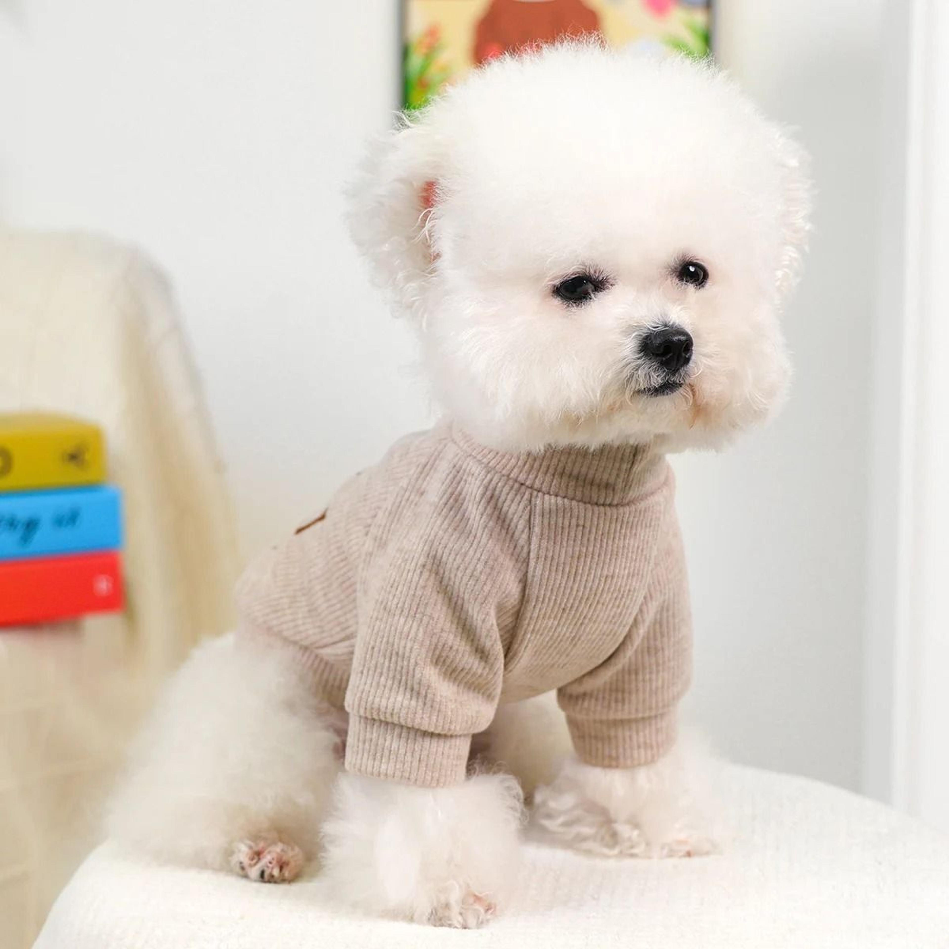 thanksgiving turkey crew neck pet sweater for dogs and cats