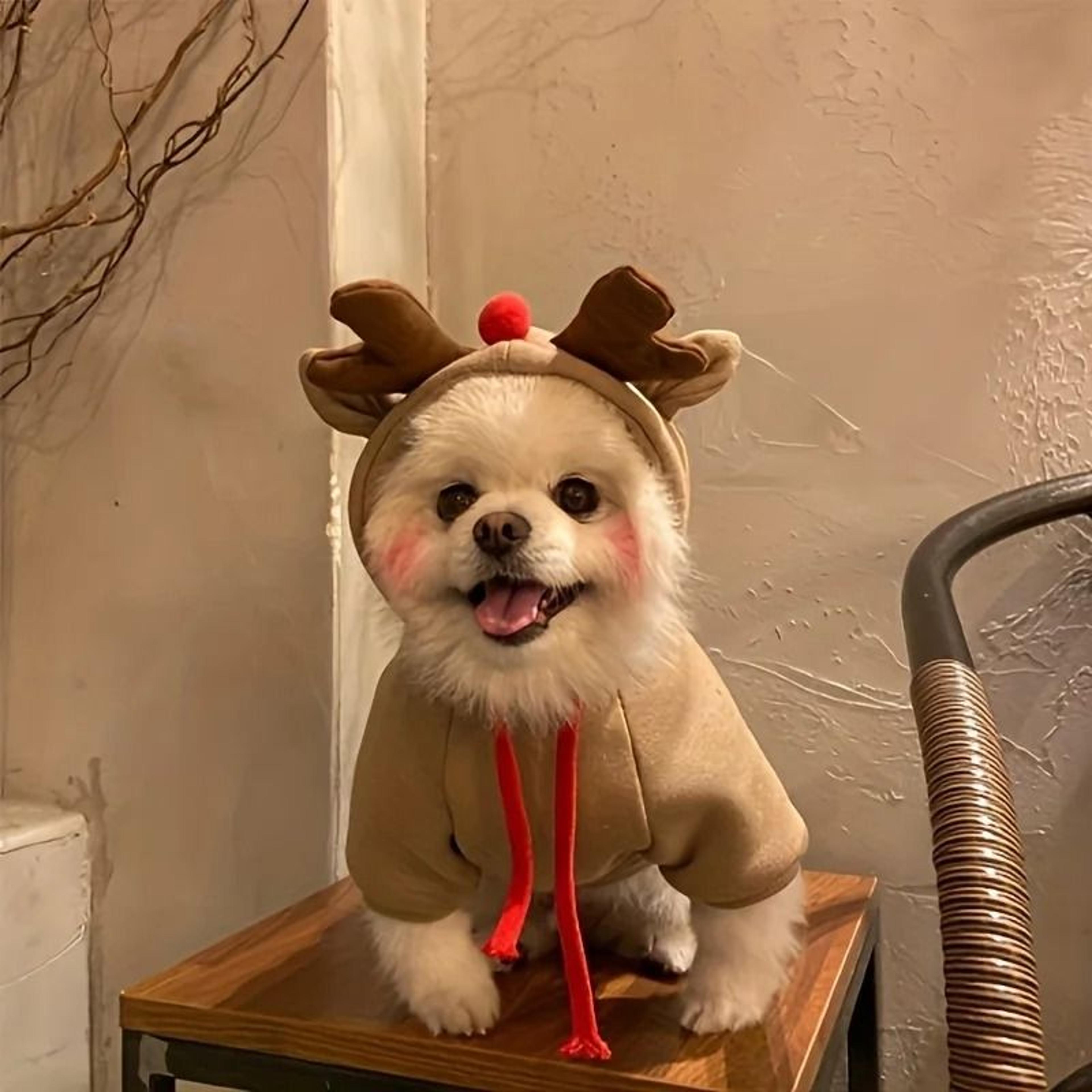 cozy elk hooded pet sweater for autumn and winter warmth