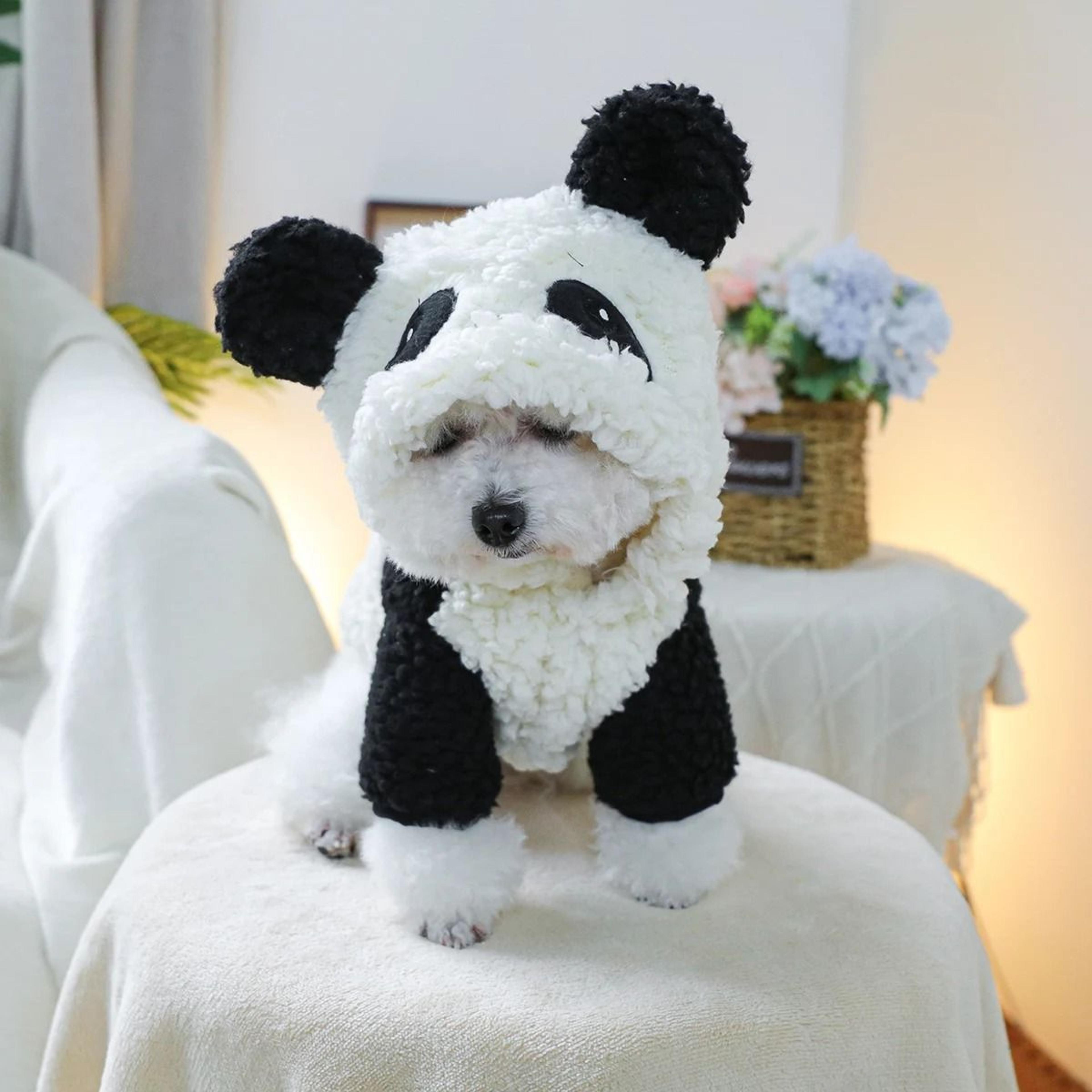 cozy panda hood pet jacket for autumn and winter warmth