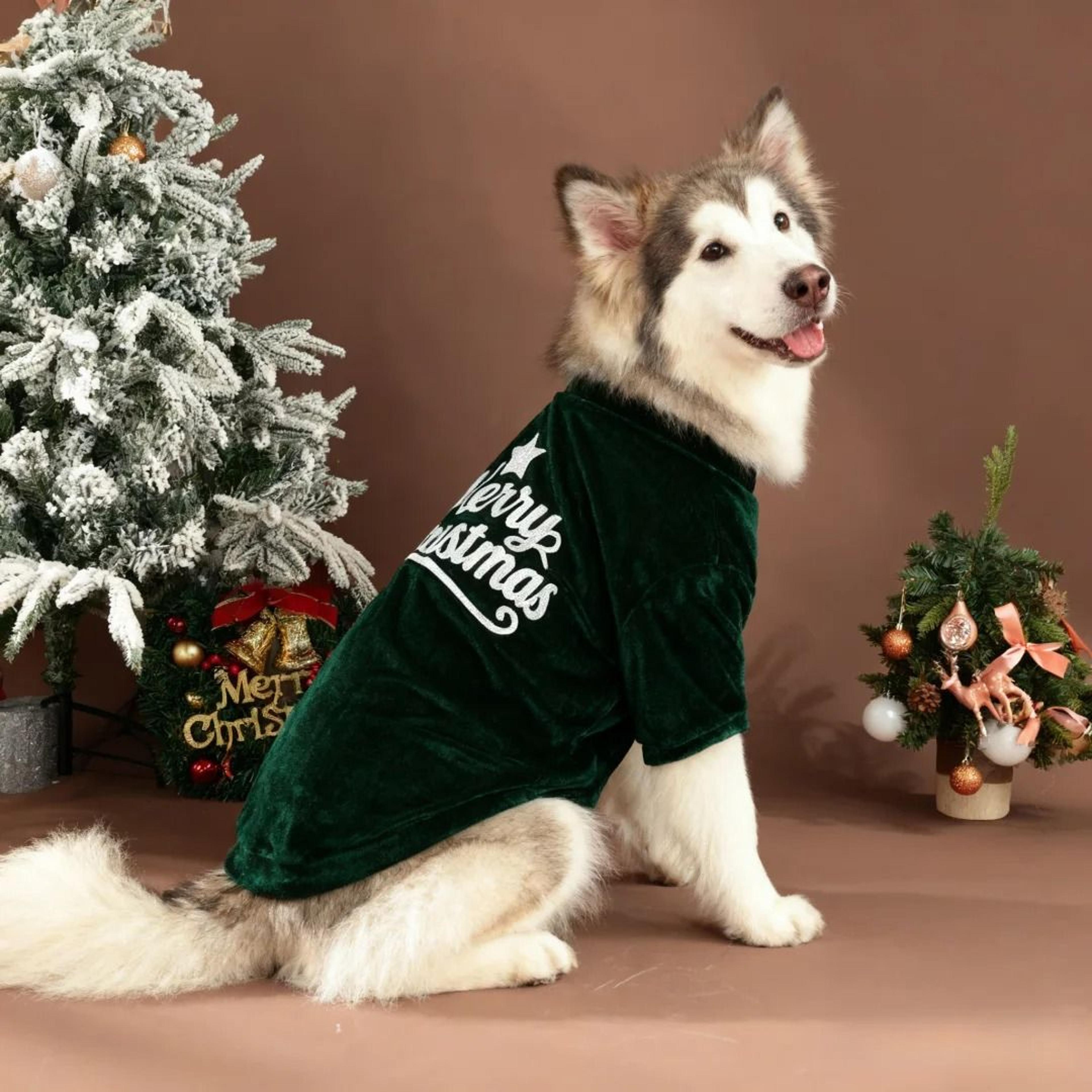 cozy merry christmas dog shirt for fall and winter