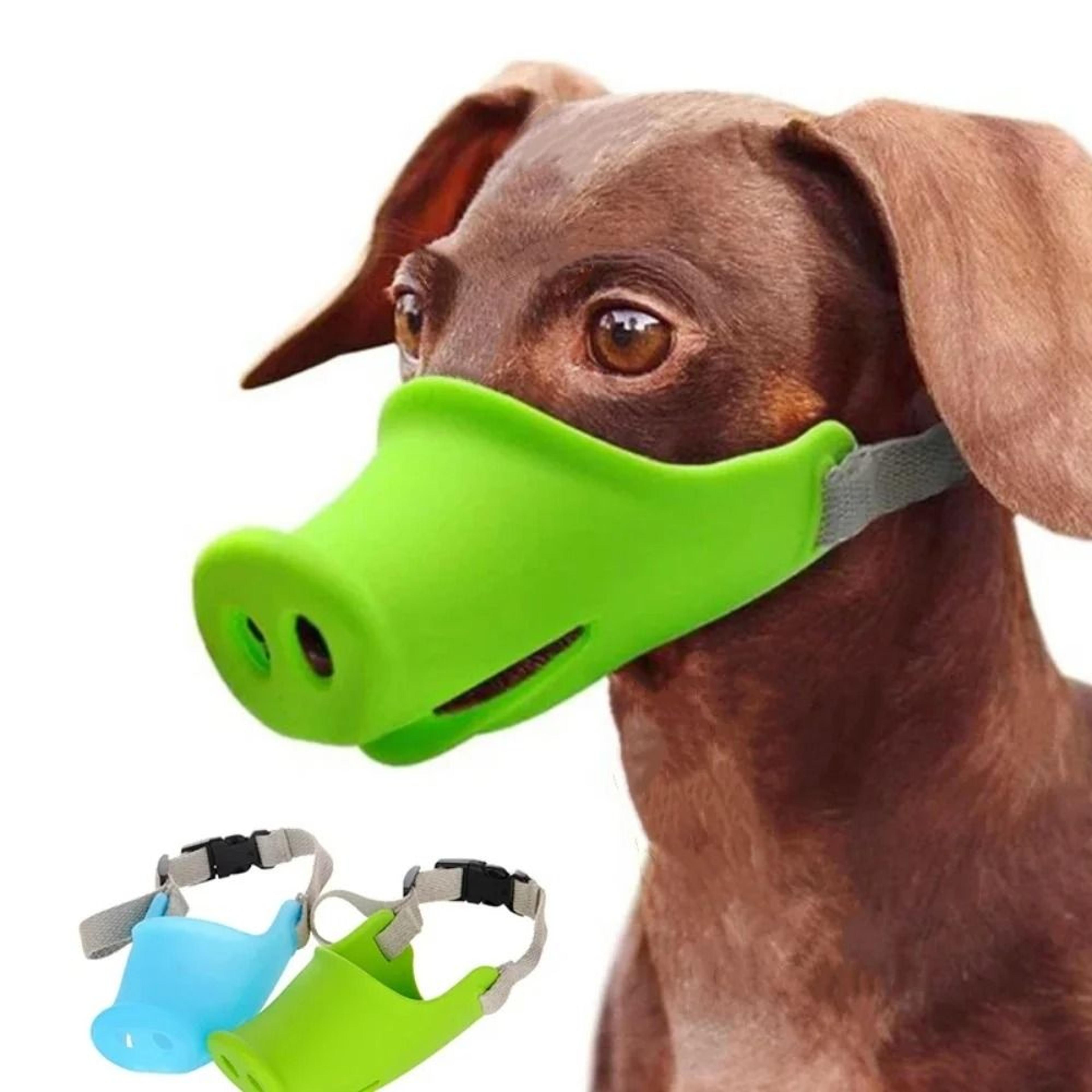 pig nose breathable mask for dogs with adjustable design