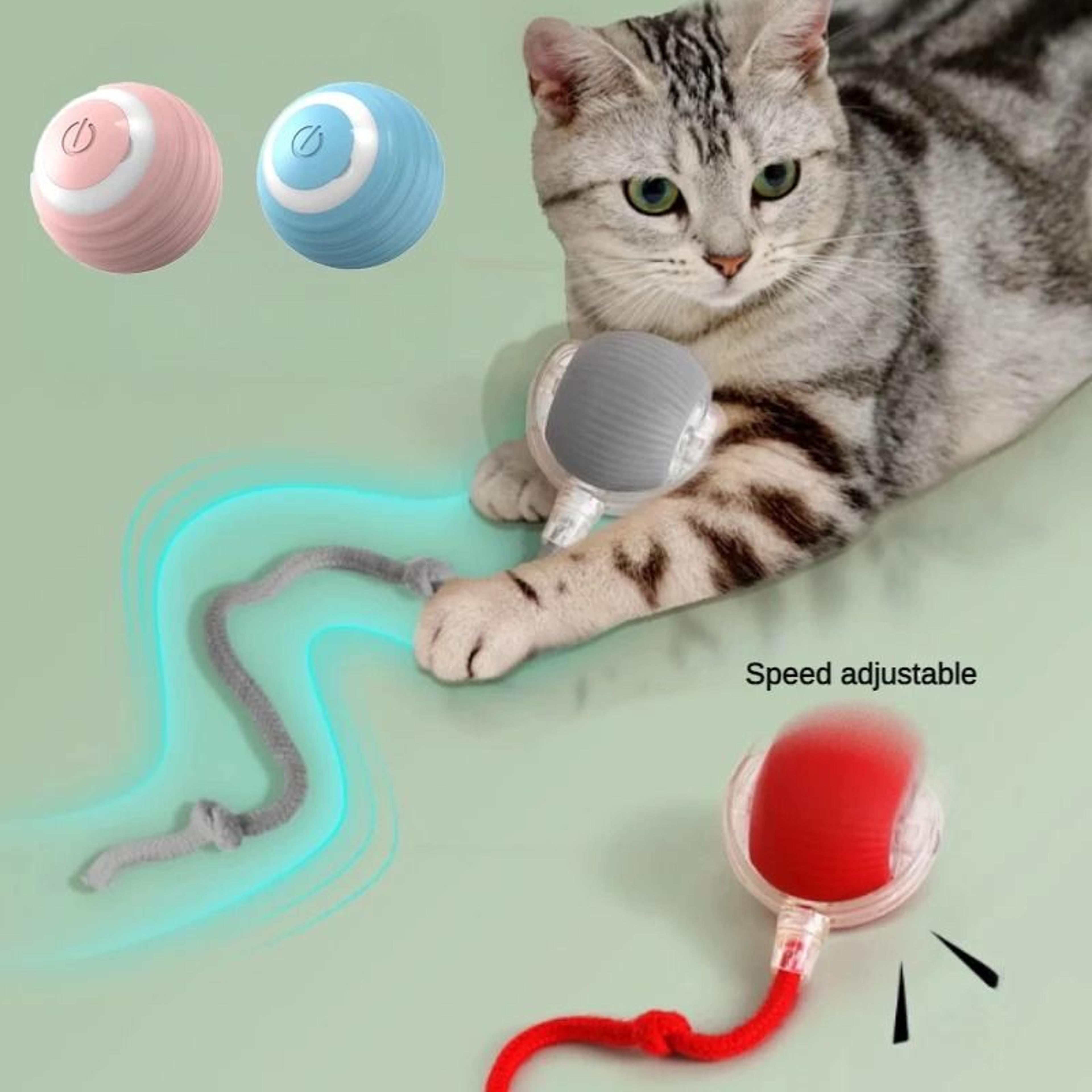 electric rolling cat toy ball with teaser bird