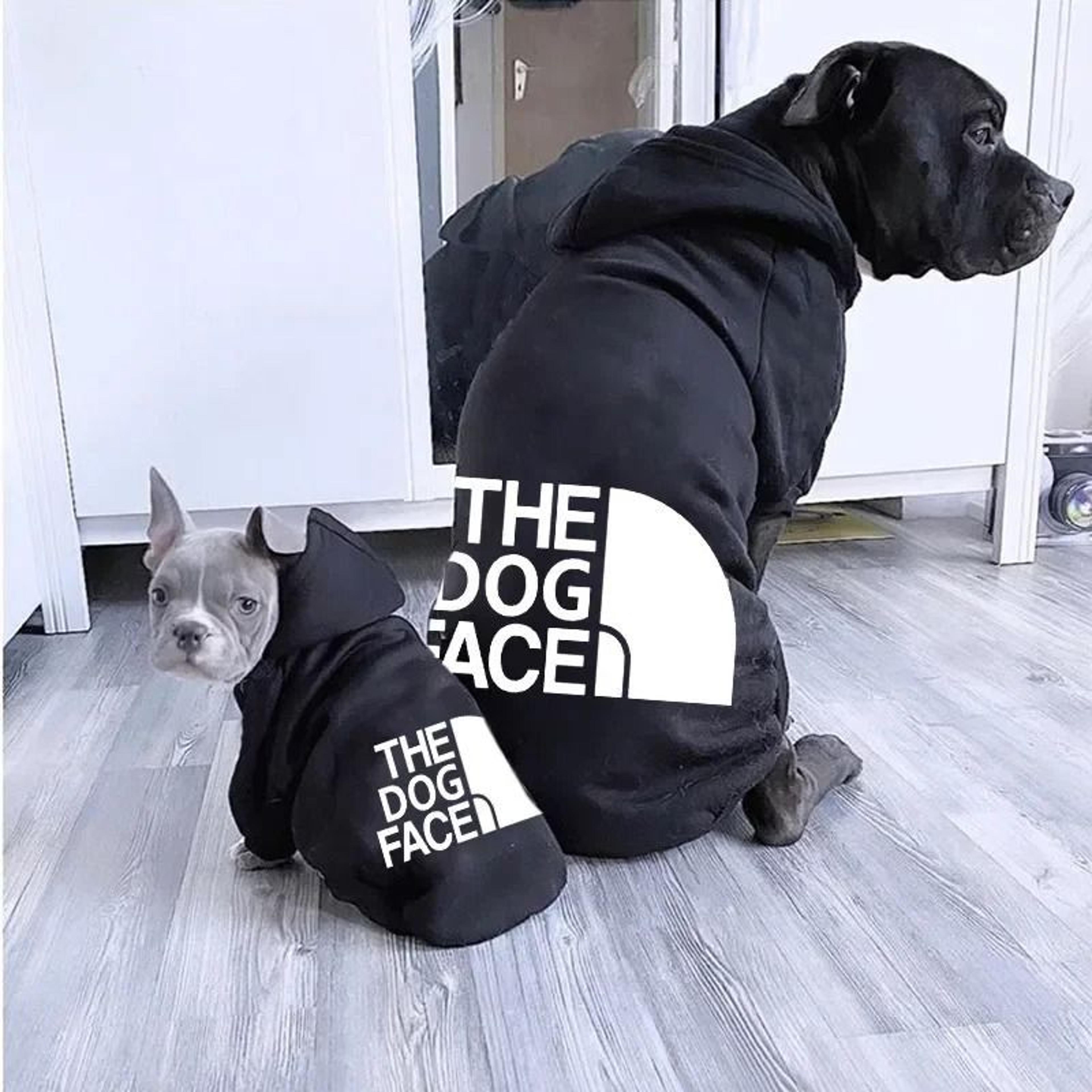 pet dog autumn winter hoodie