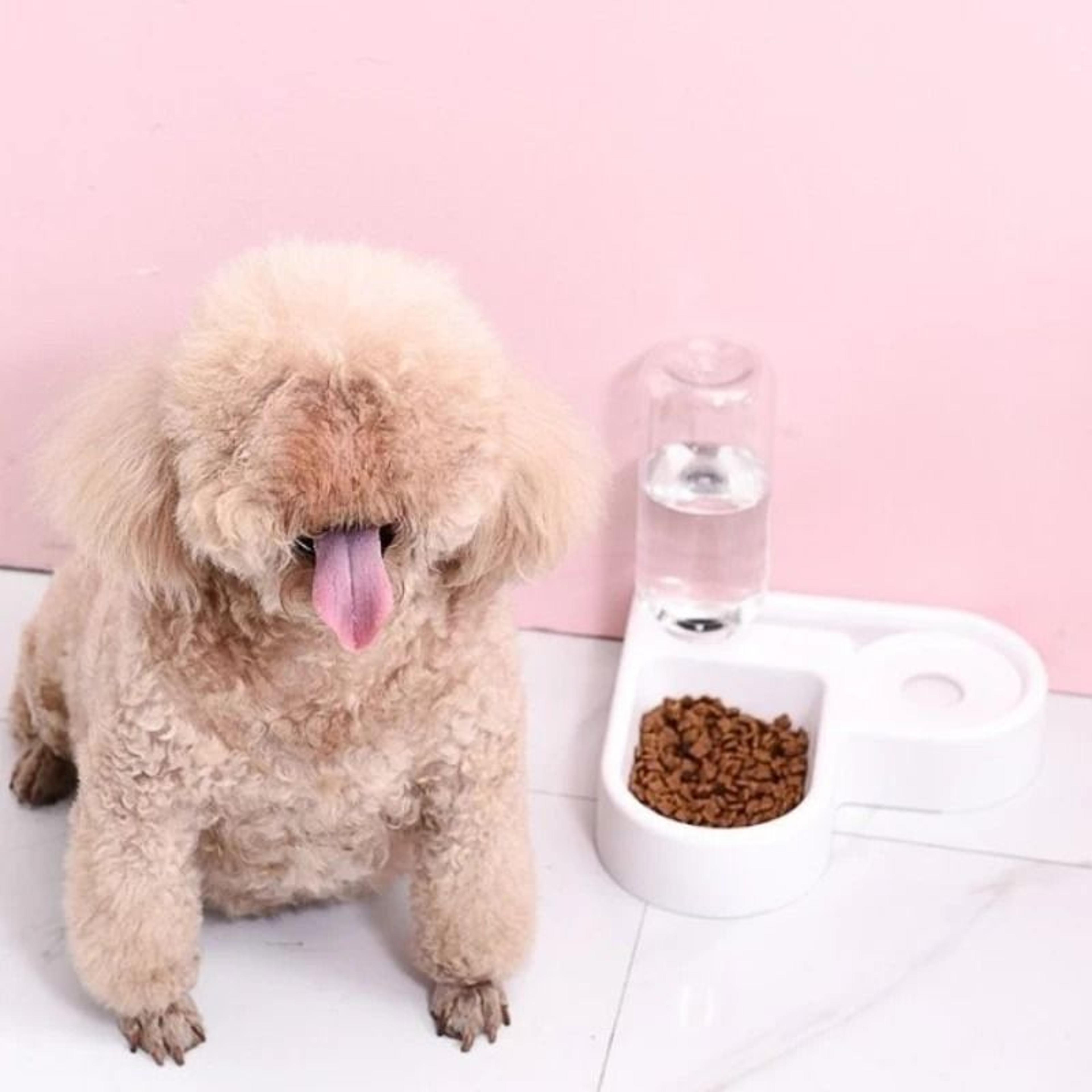 pet feeding station with double bowls and water dispenser