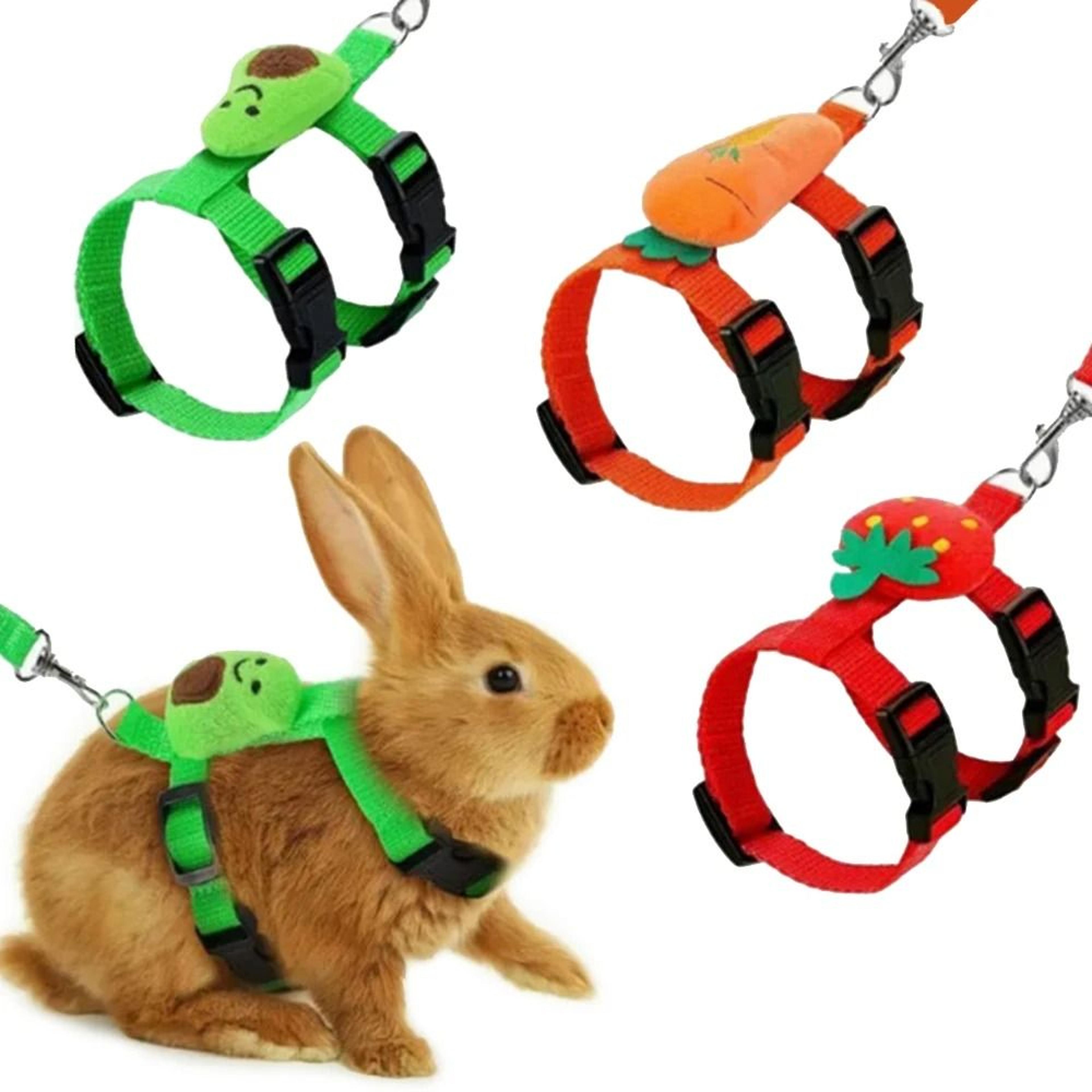 adjustable pet harness and leash set for small animals