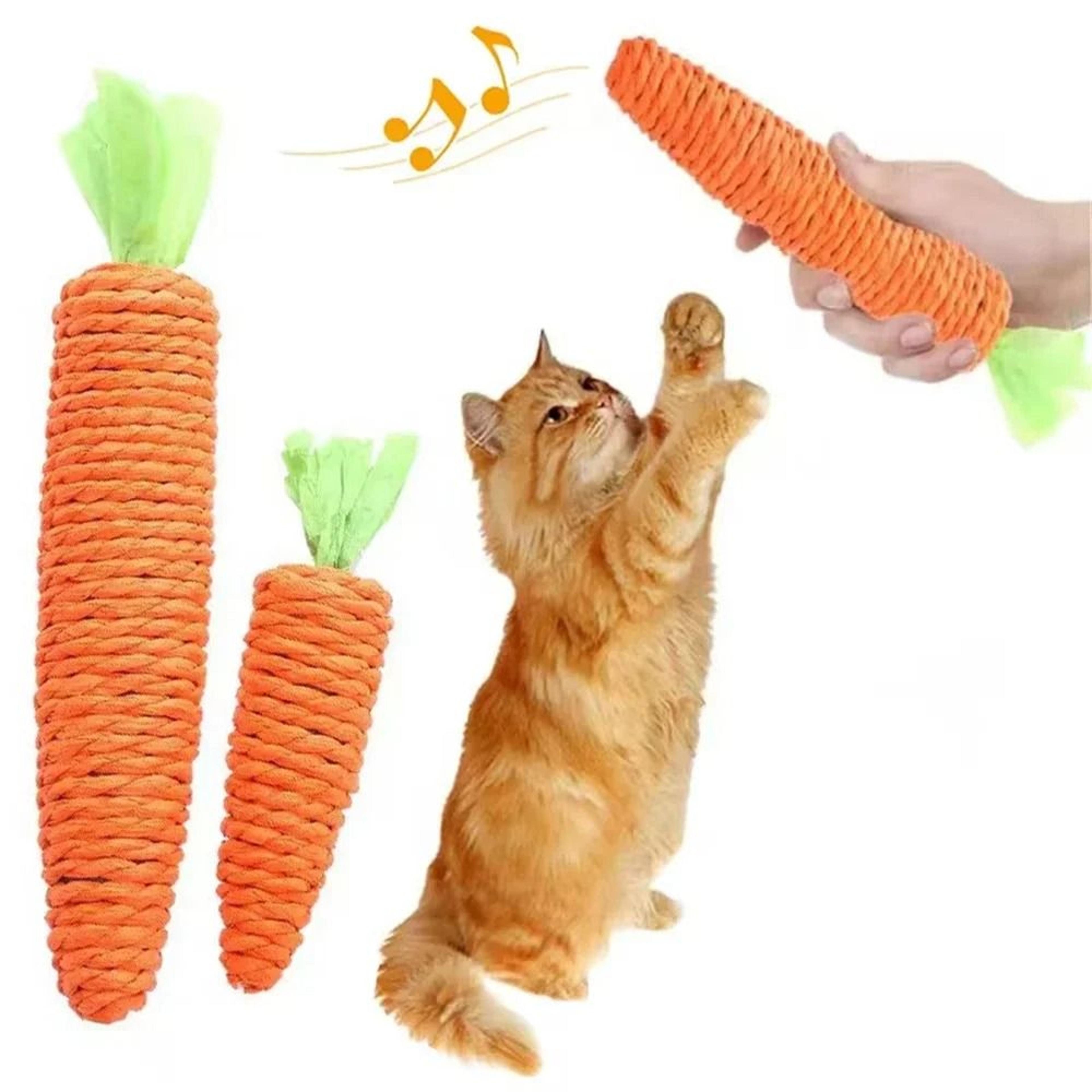 carrot squeak chew toy for cats and small dogs