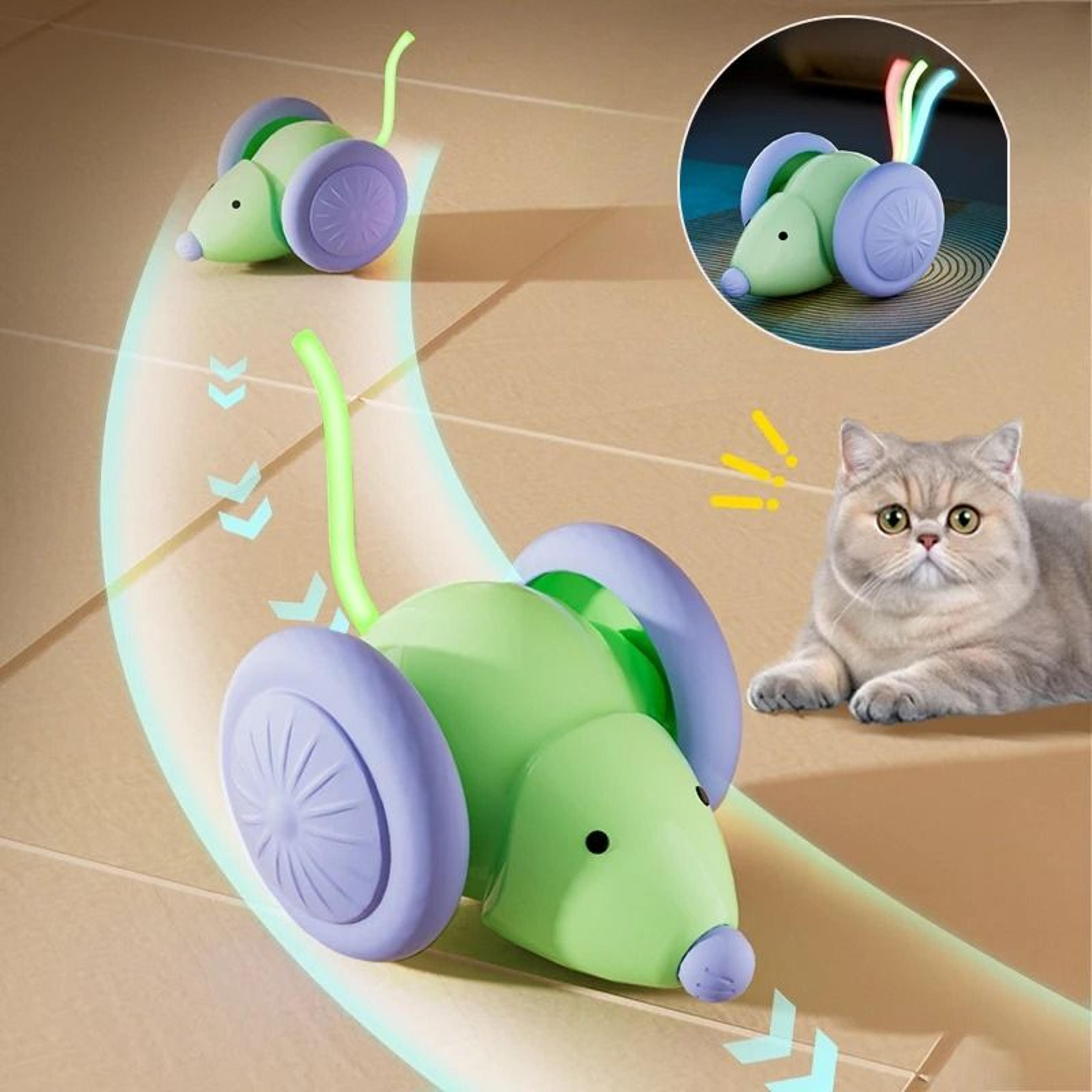keep your cat active and entertained with this interactive electric mouse car toy designed to stimulate natural hunting