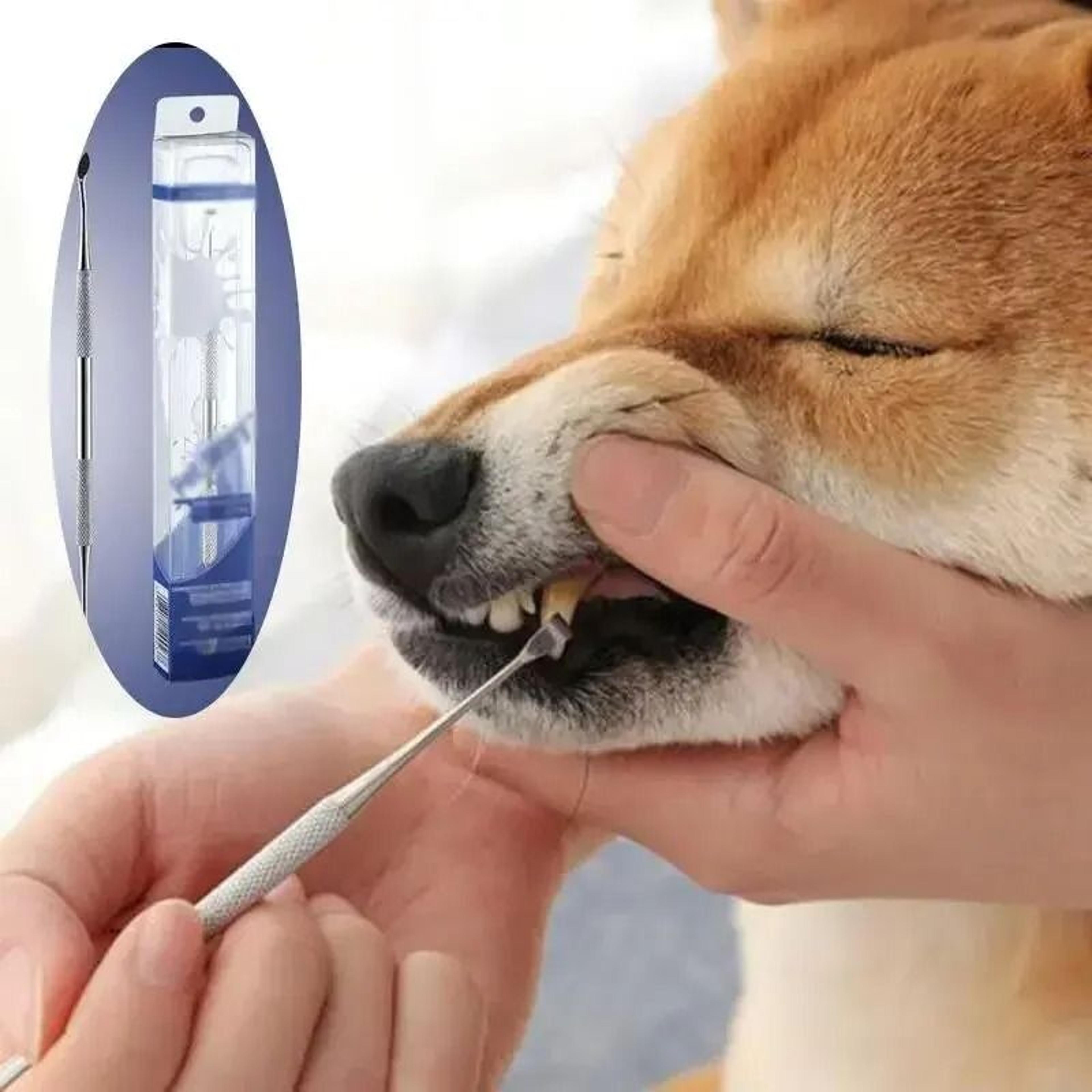 stainless steel pet dental cleaning pen for tartar removal